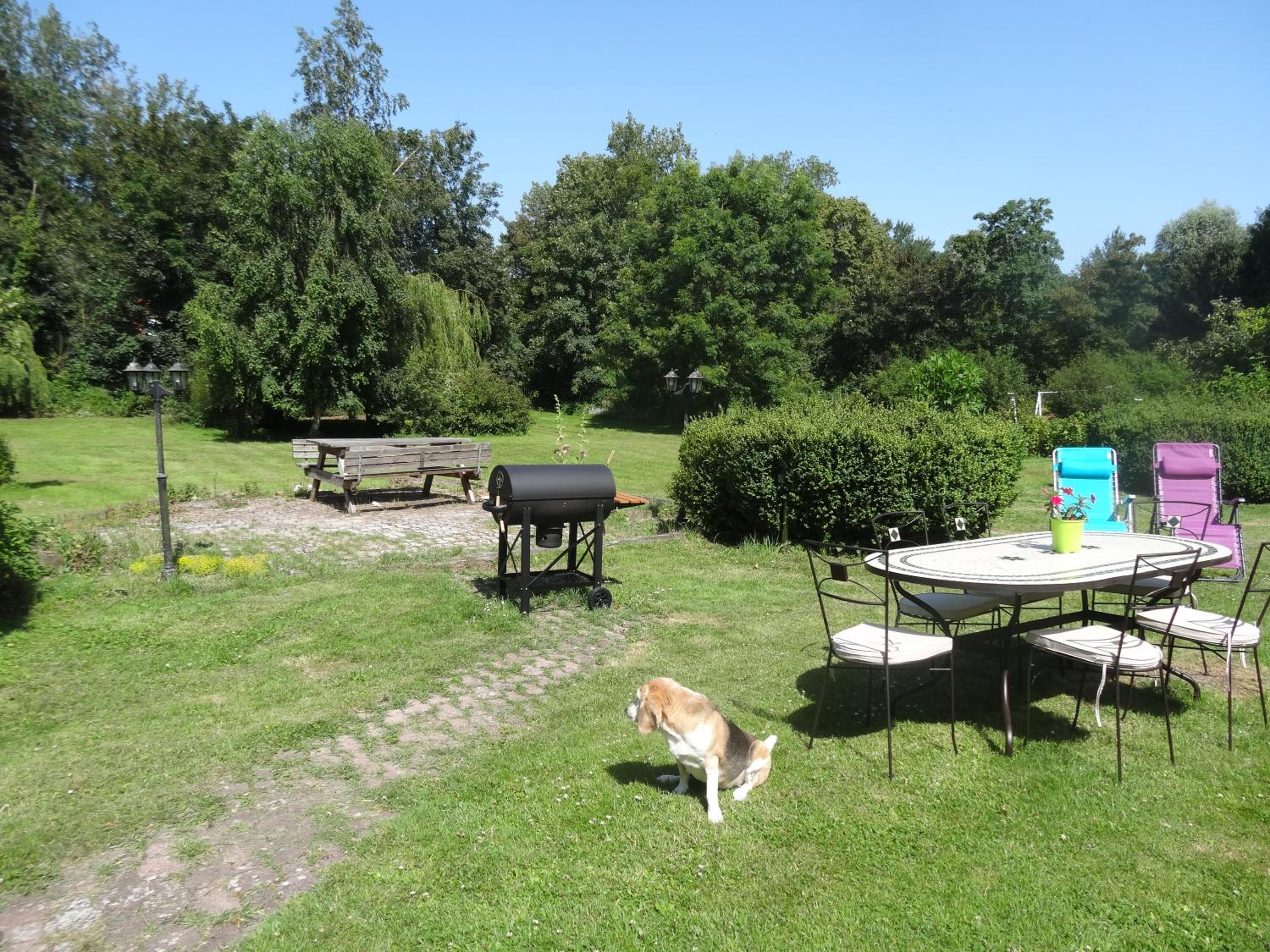 Photo 14