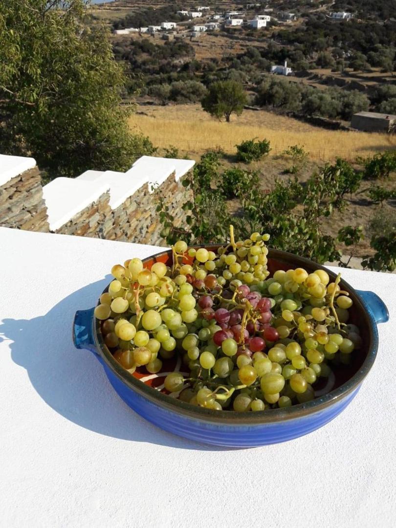 Cycladic Vineyard House view 3