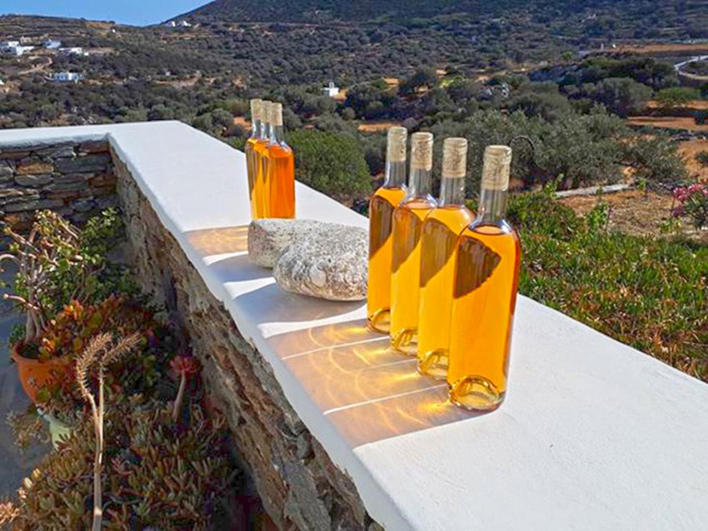 Cycladic Vineyard House view 5