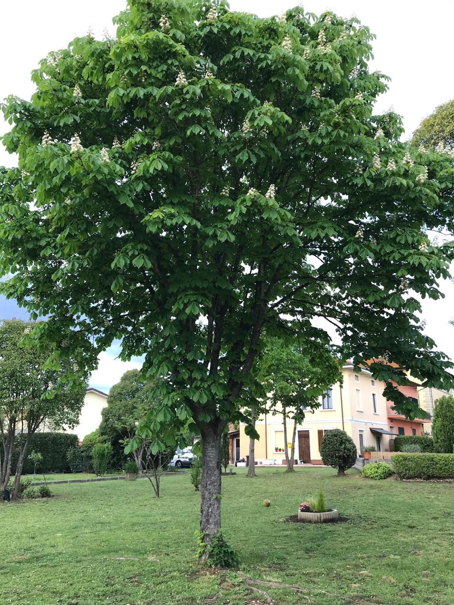 Photo 38