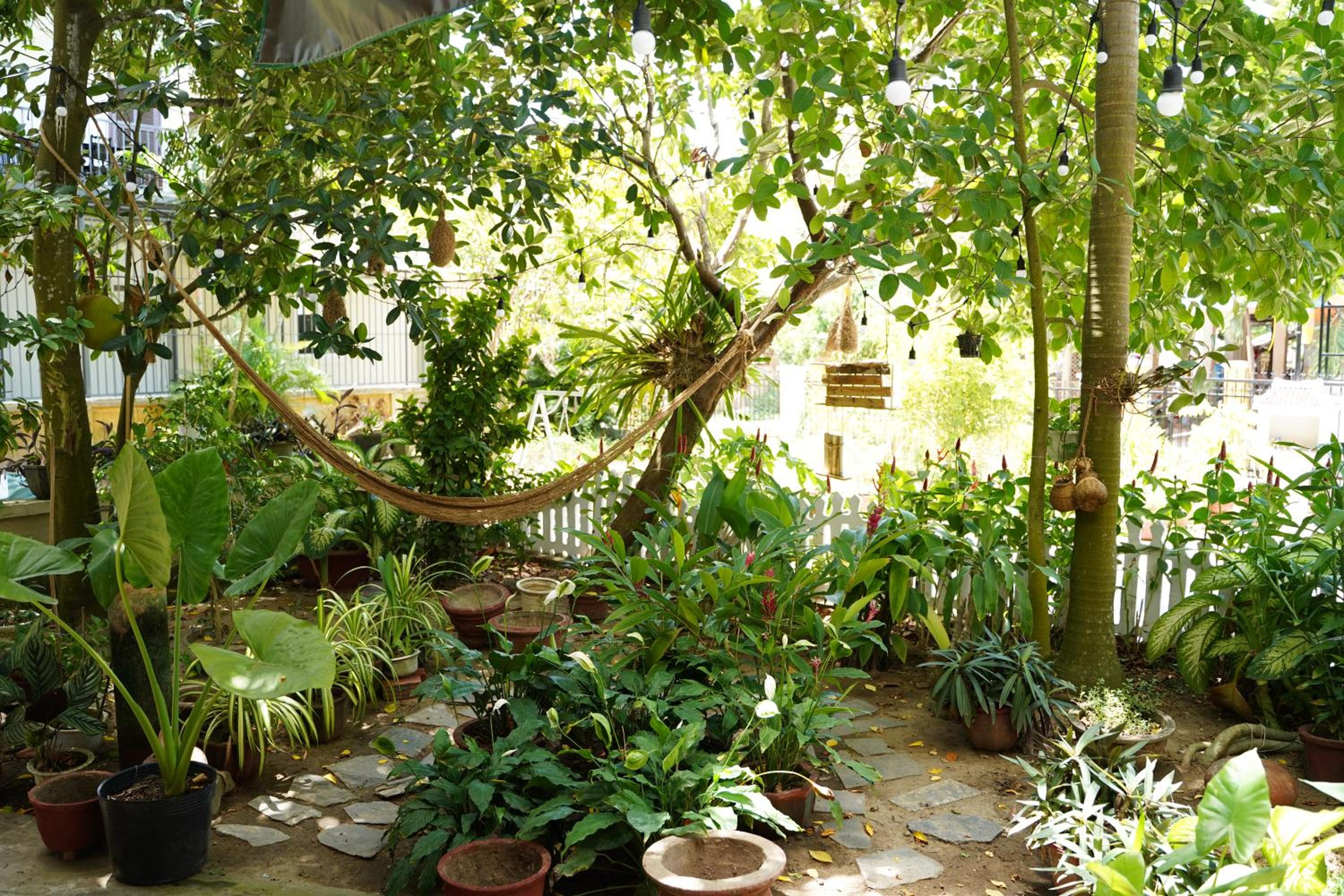 Longan Homestay