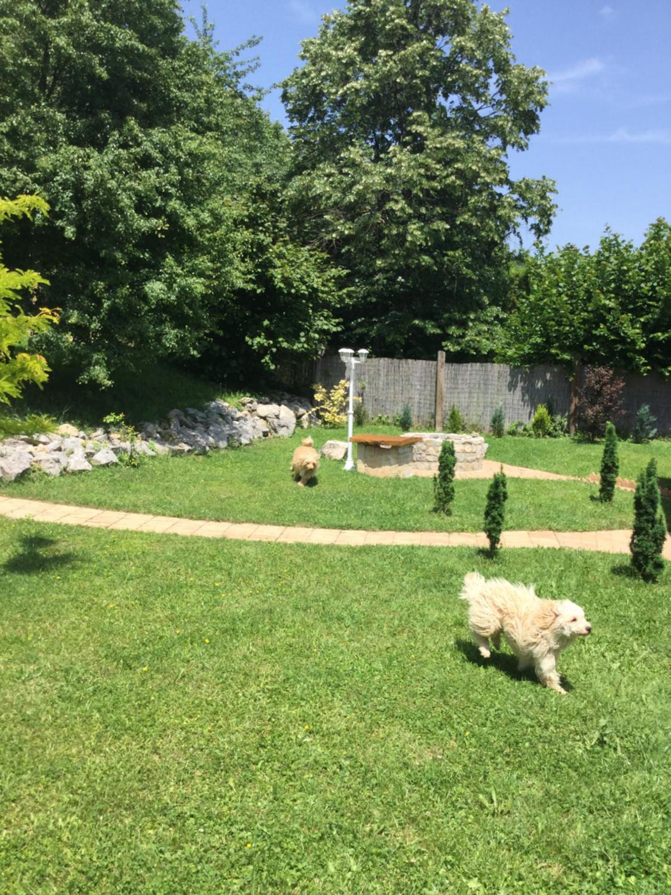 Photo 28