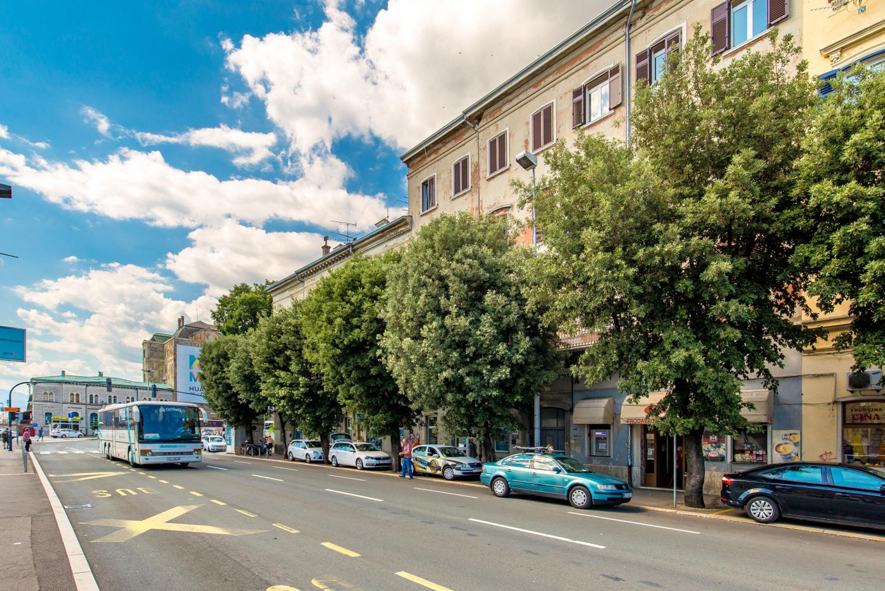 Apartments Carpathia view 4