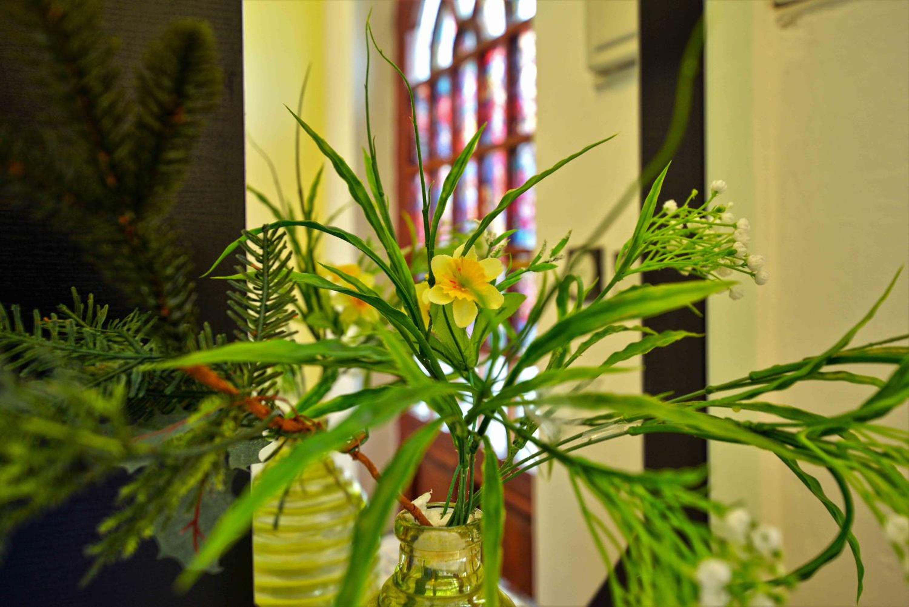 Photo 32