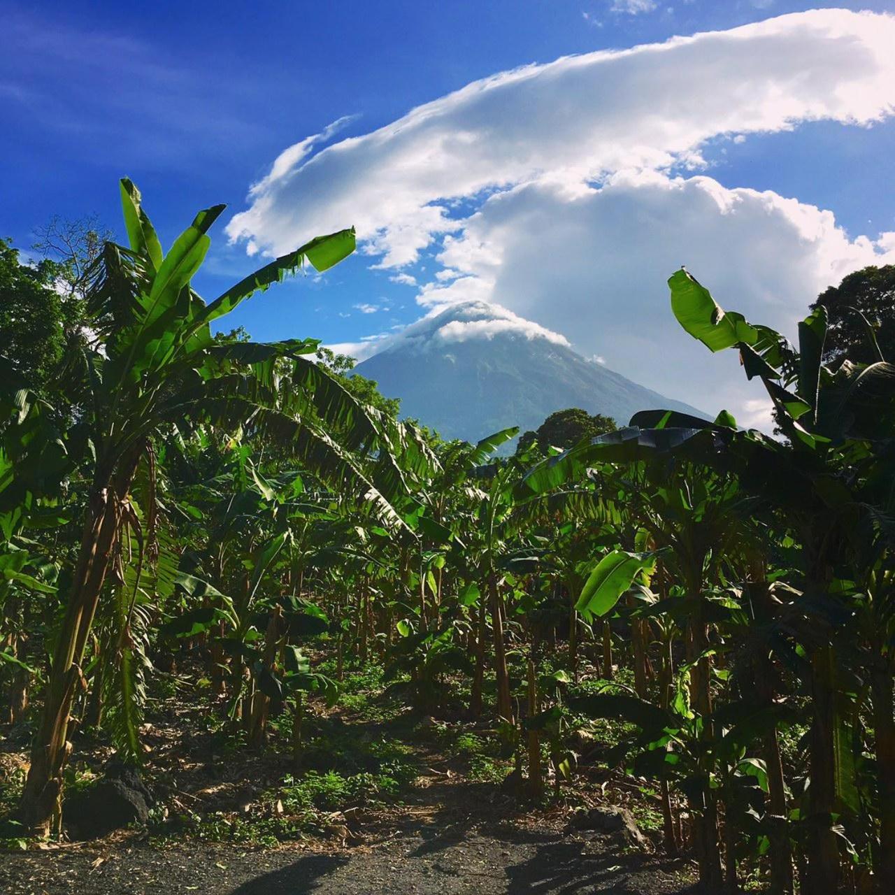 Photo 66
