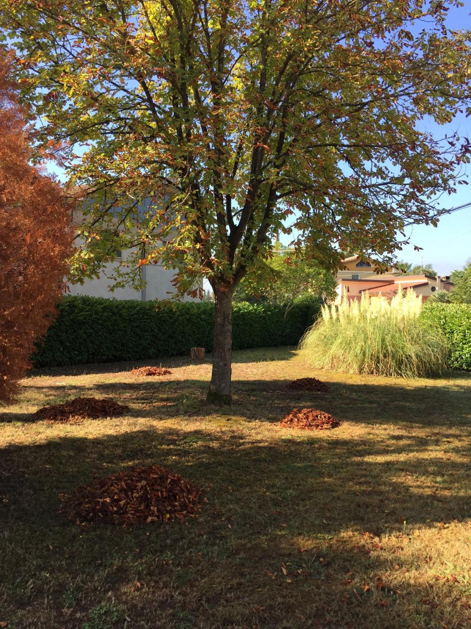 Photo 33