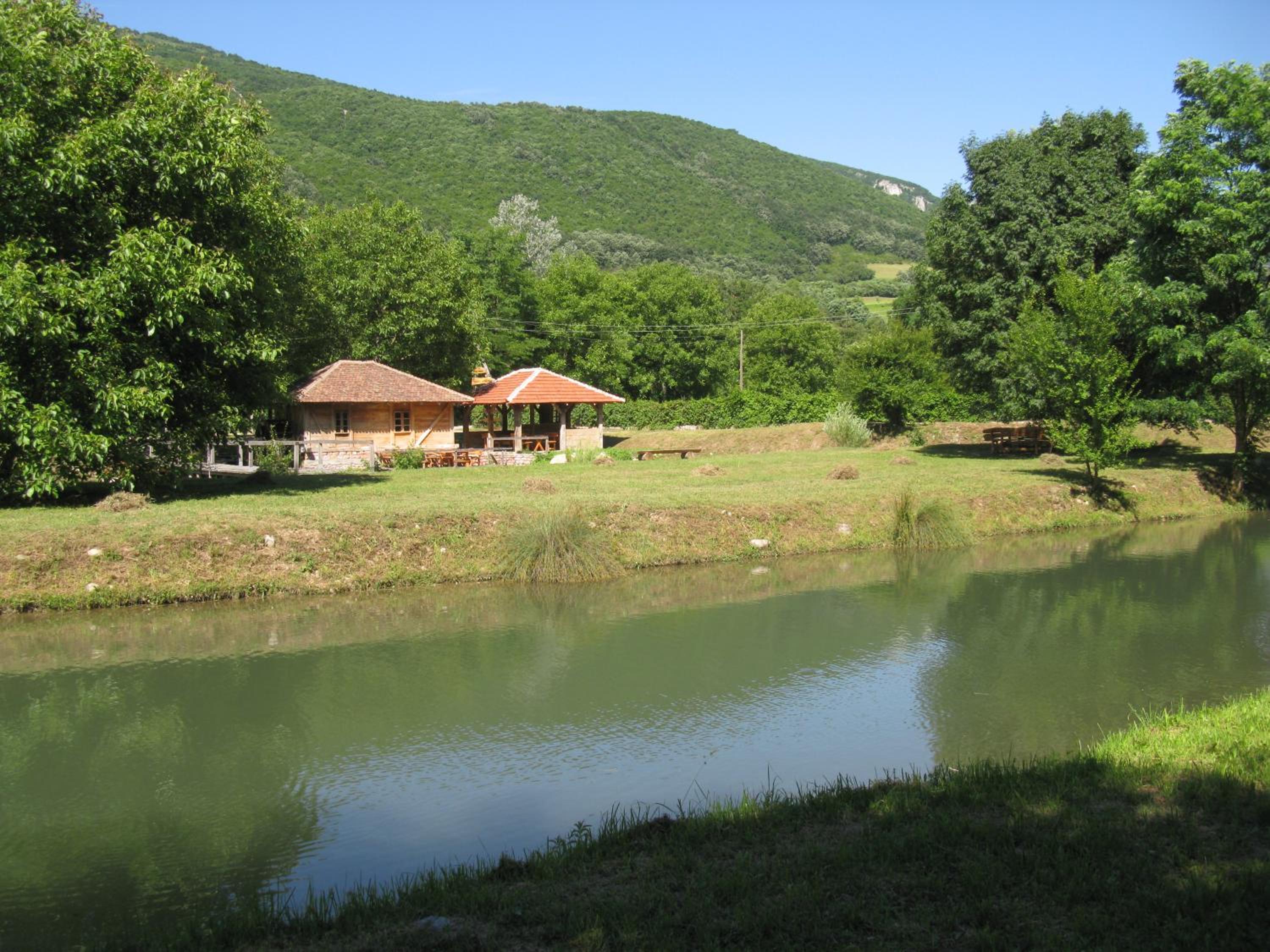 Photo 21