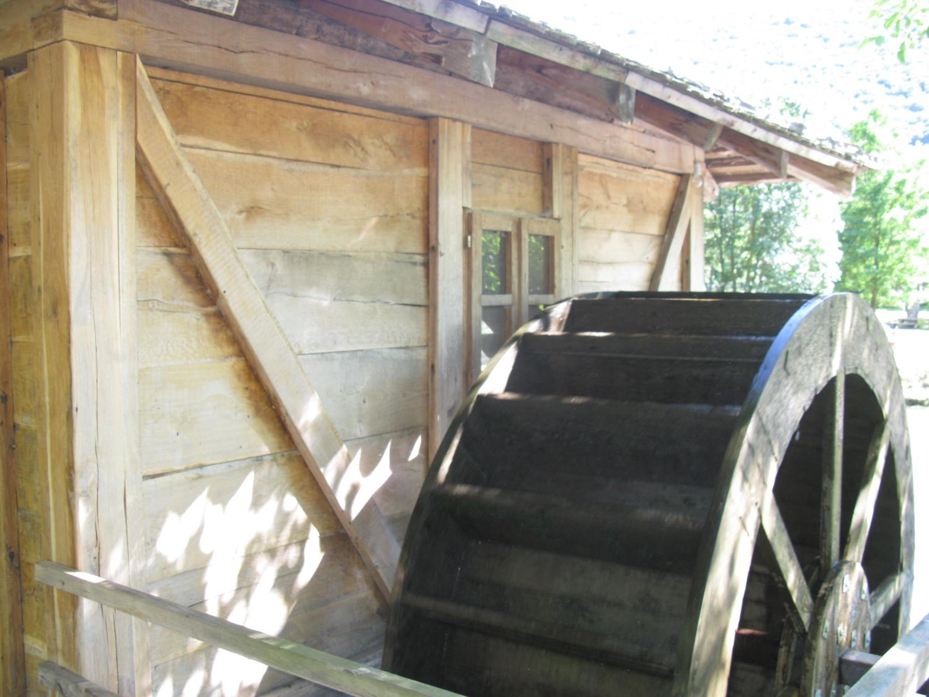 Photo 7