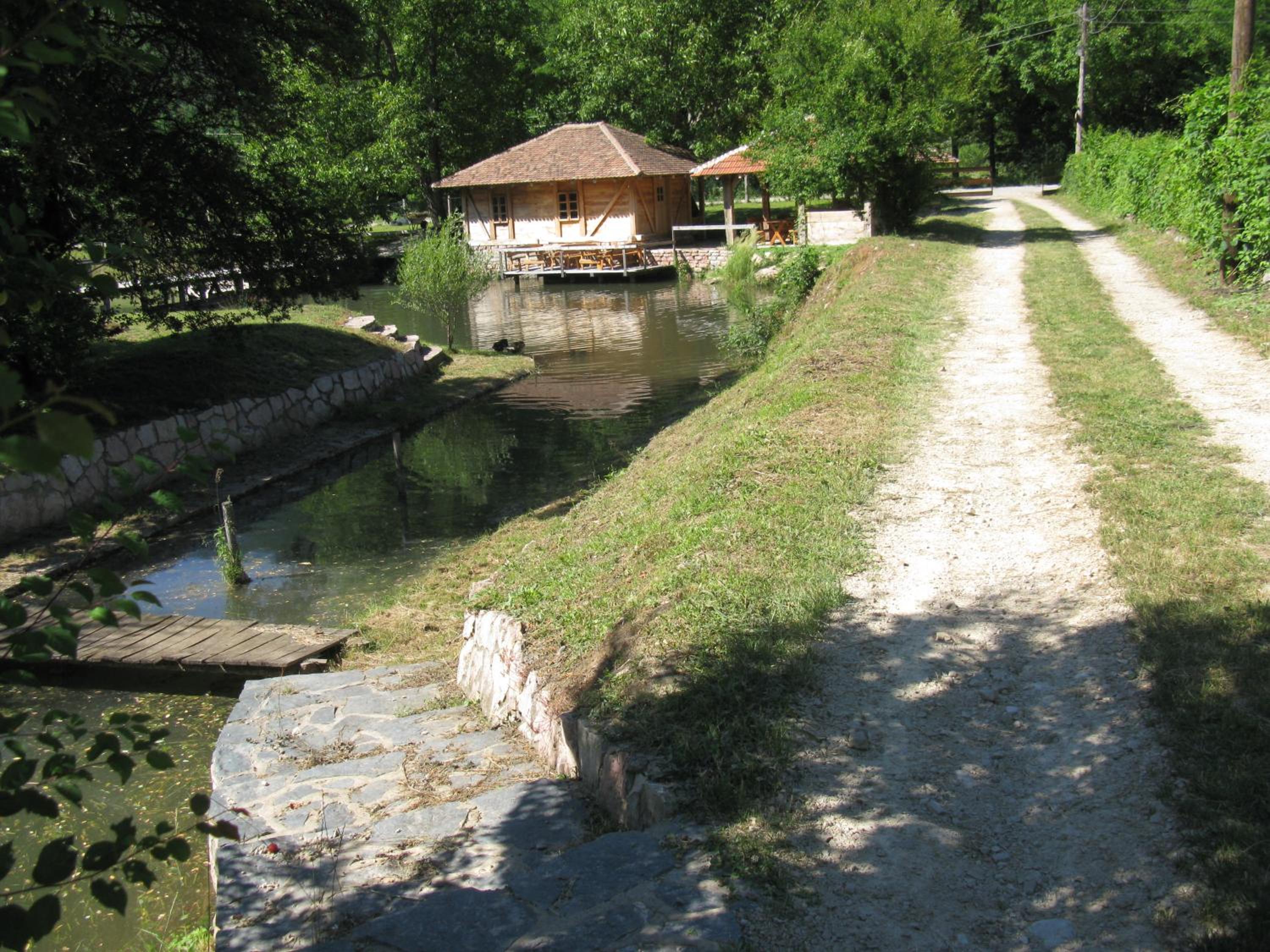 Photo 9