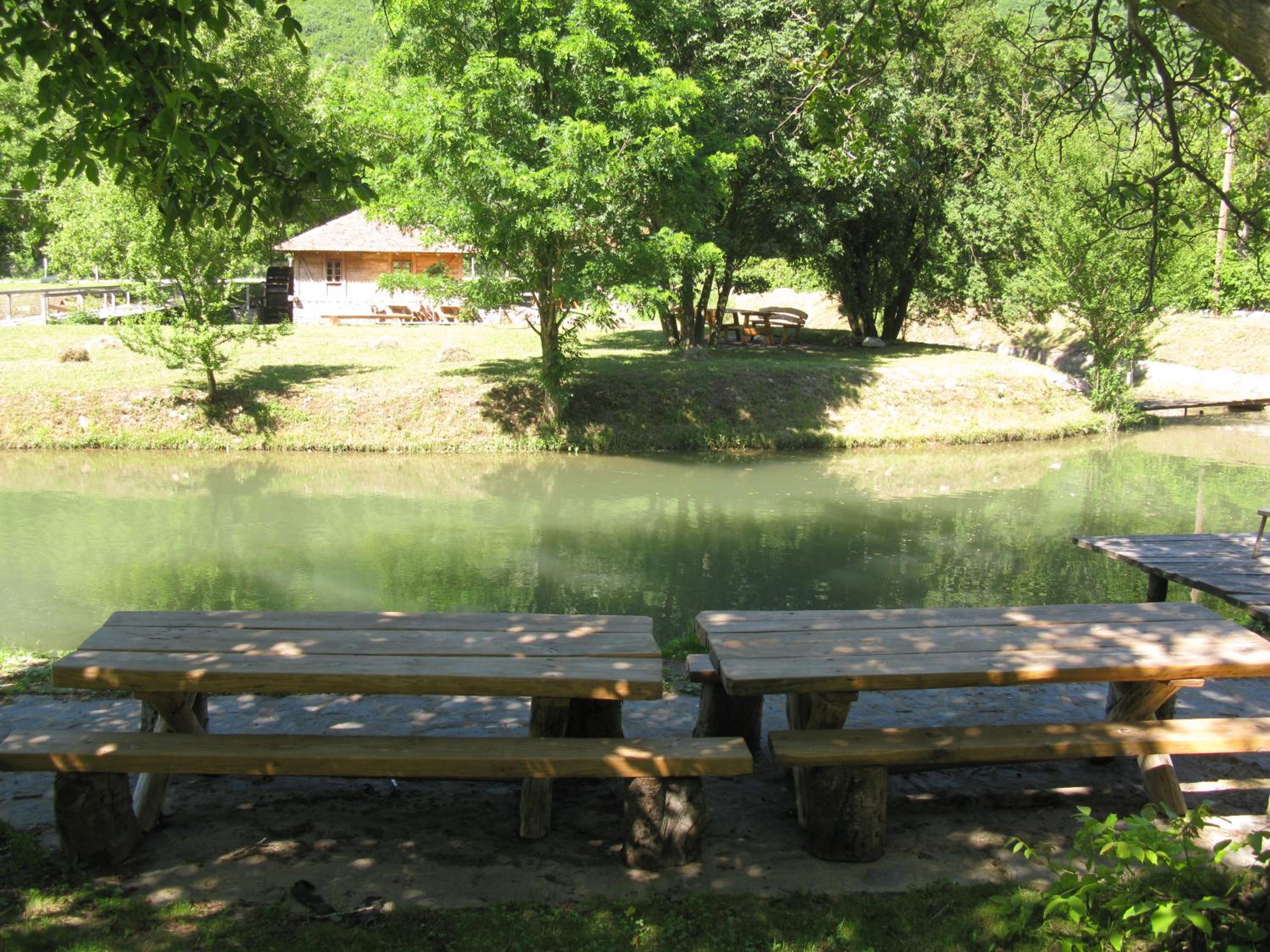 Photo 10