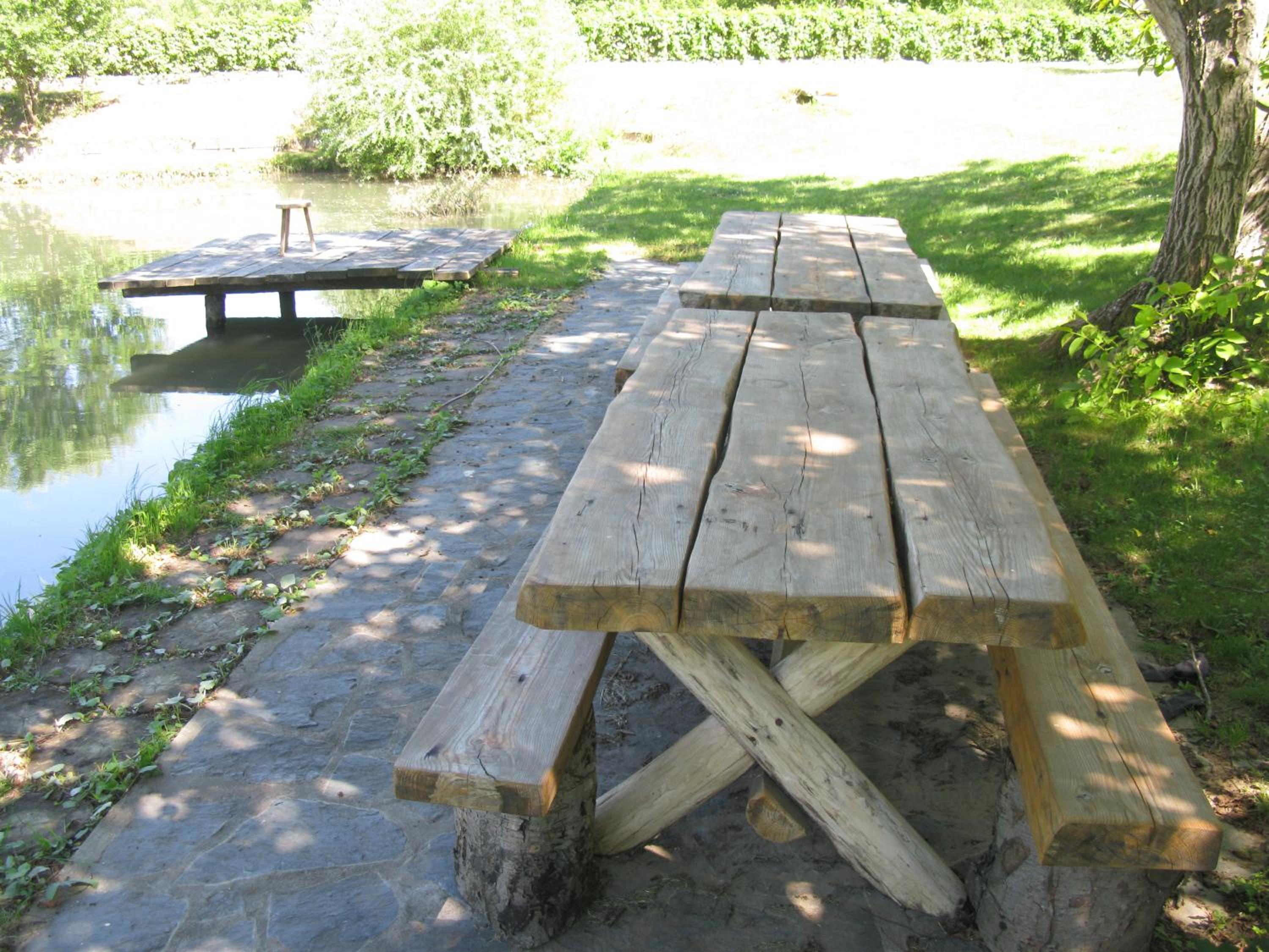Photo 11