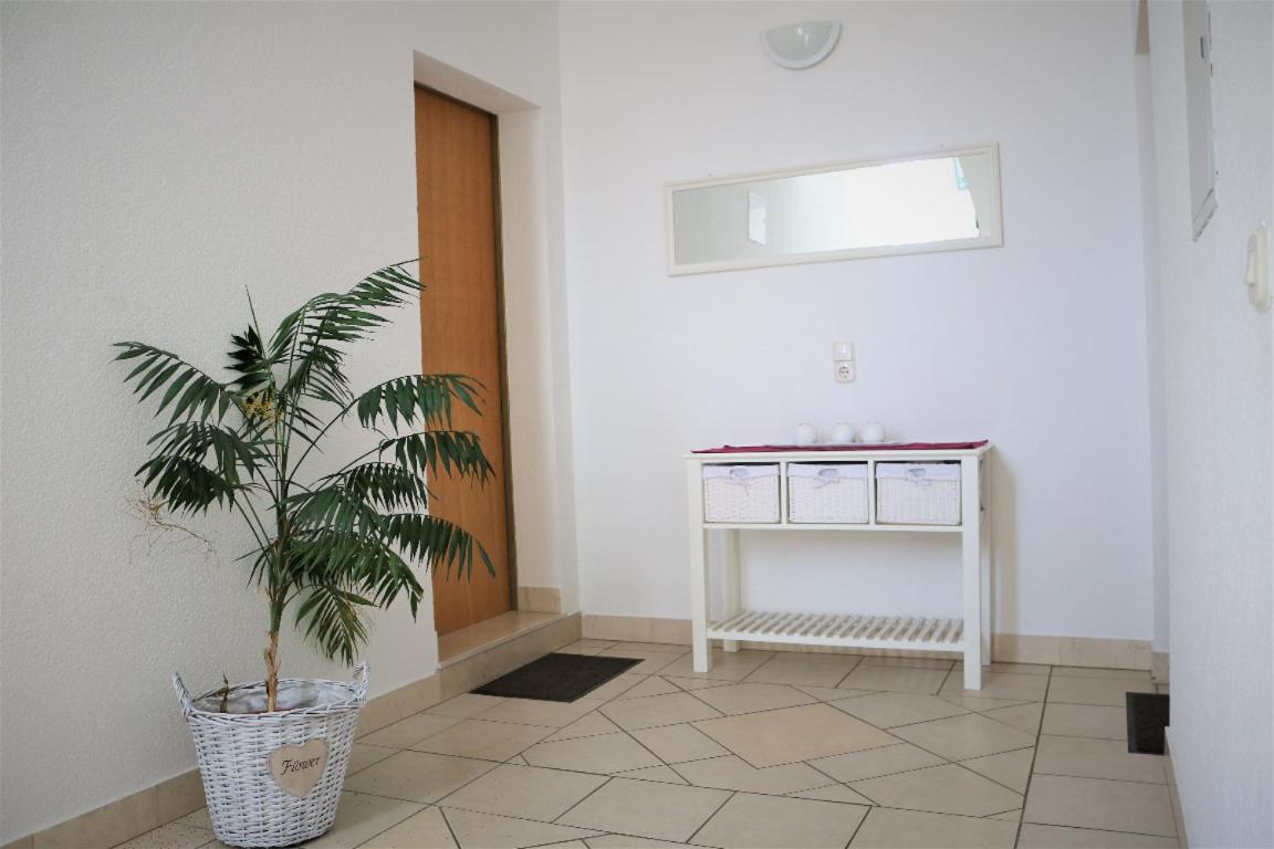 House Kovacevic