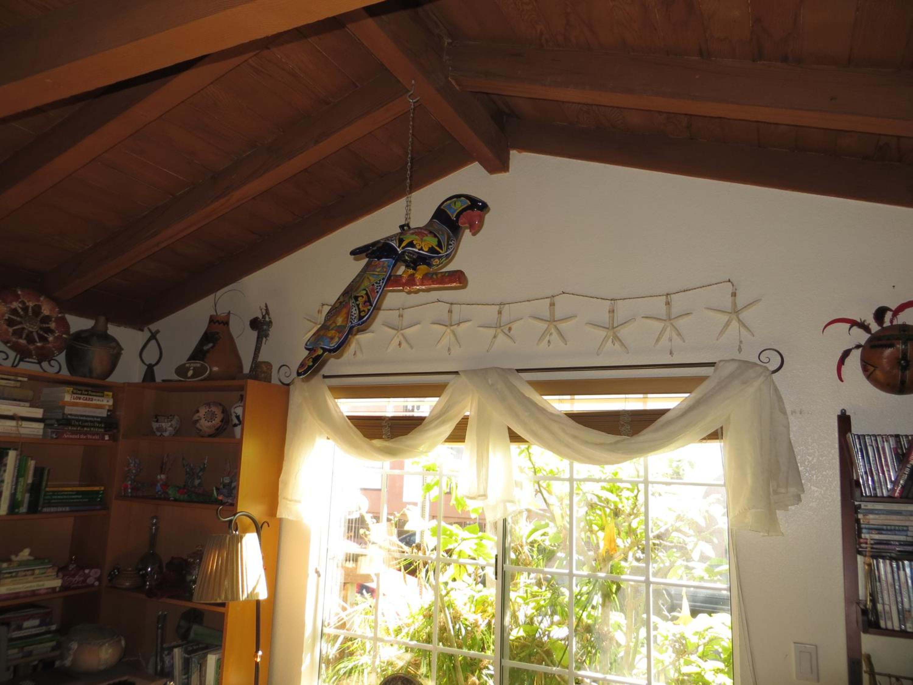 Photo 38