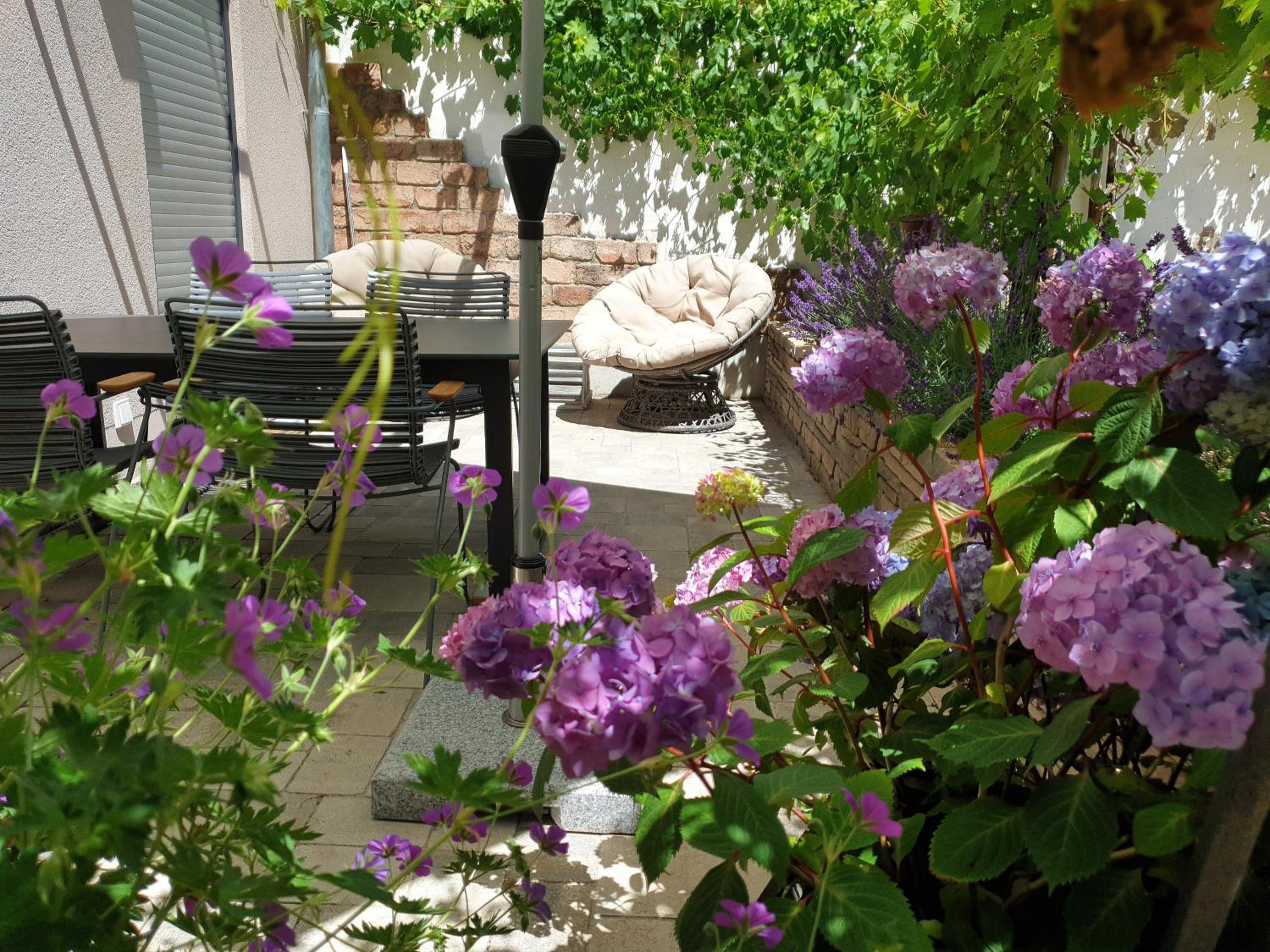 Zur alten Rebe Ferienhaus und Weingut