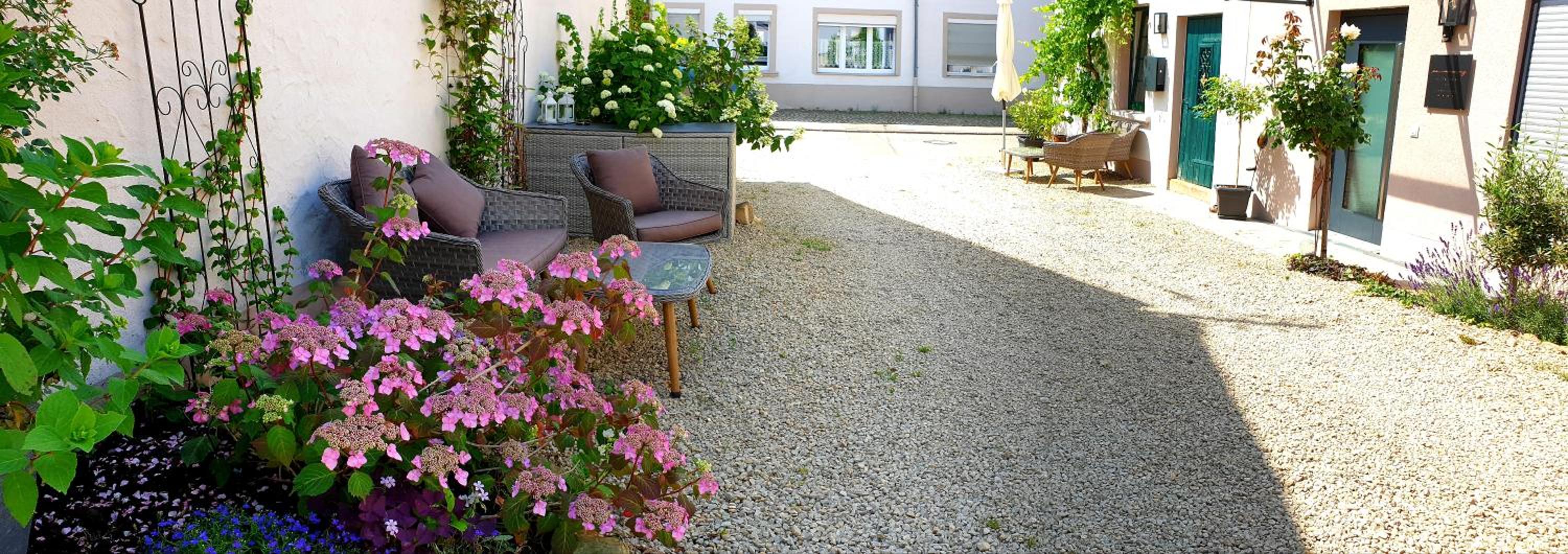 Zur alten Rebe Ferienhaus und Weingut
