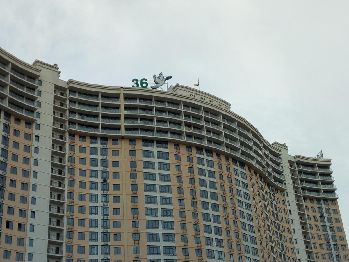36 jemchujina view 5