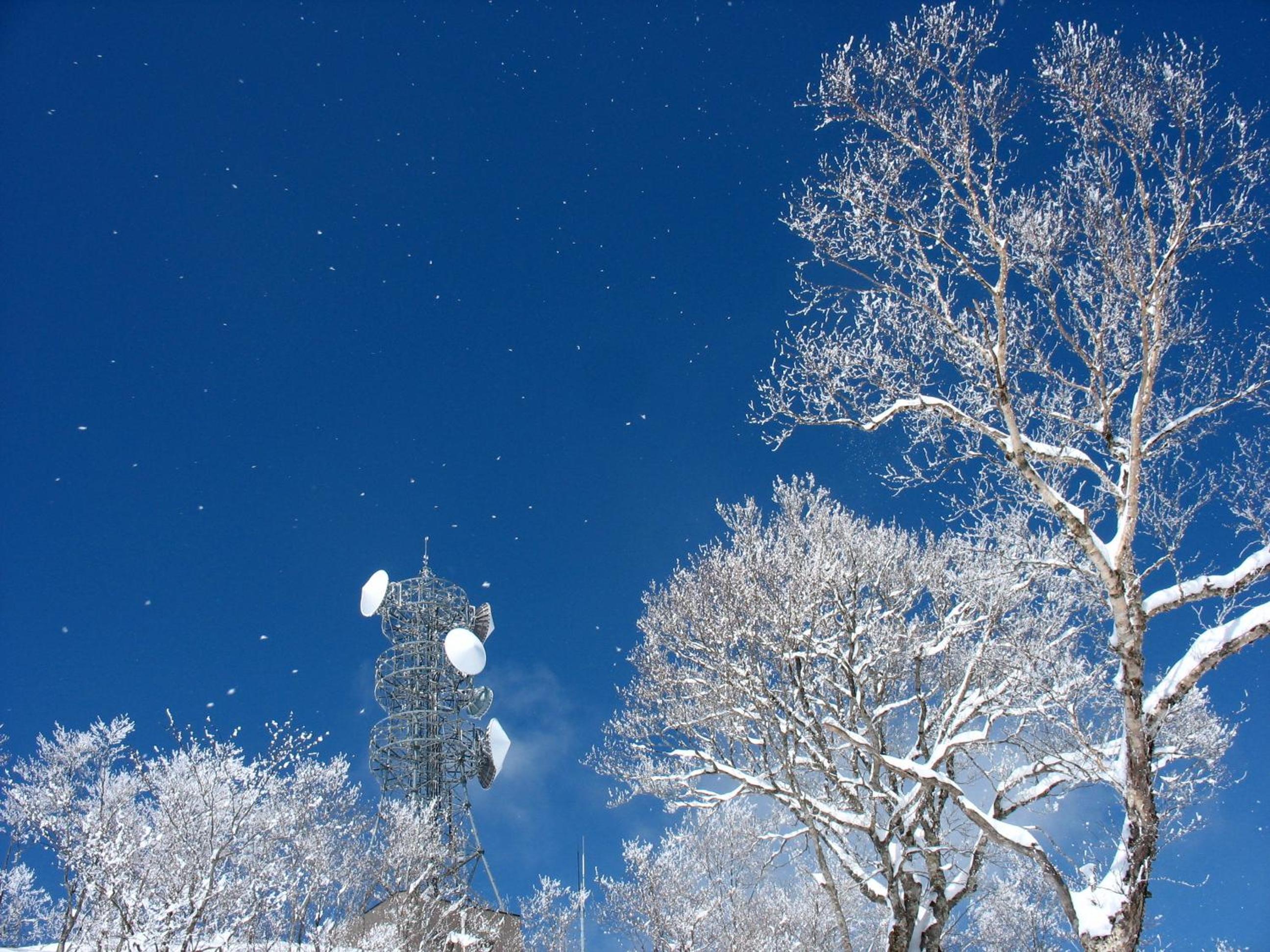 Nozawa Onsen Utopia