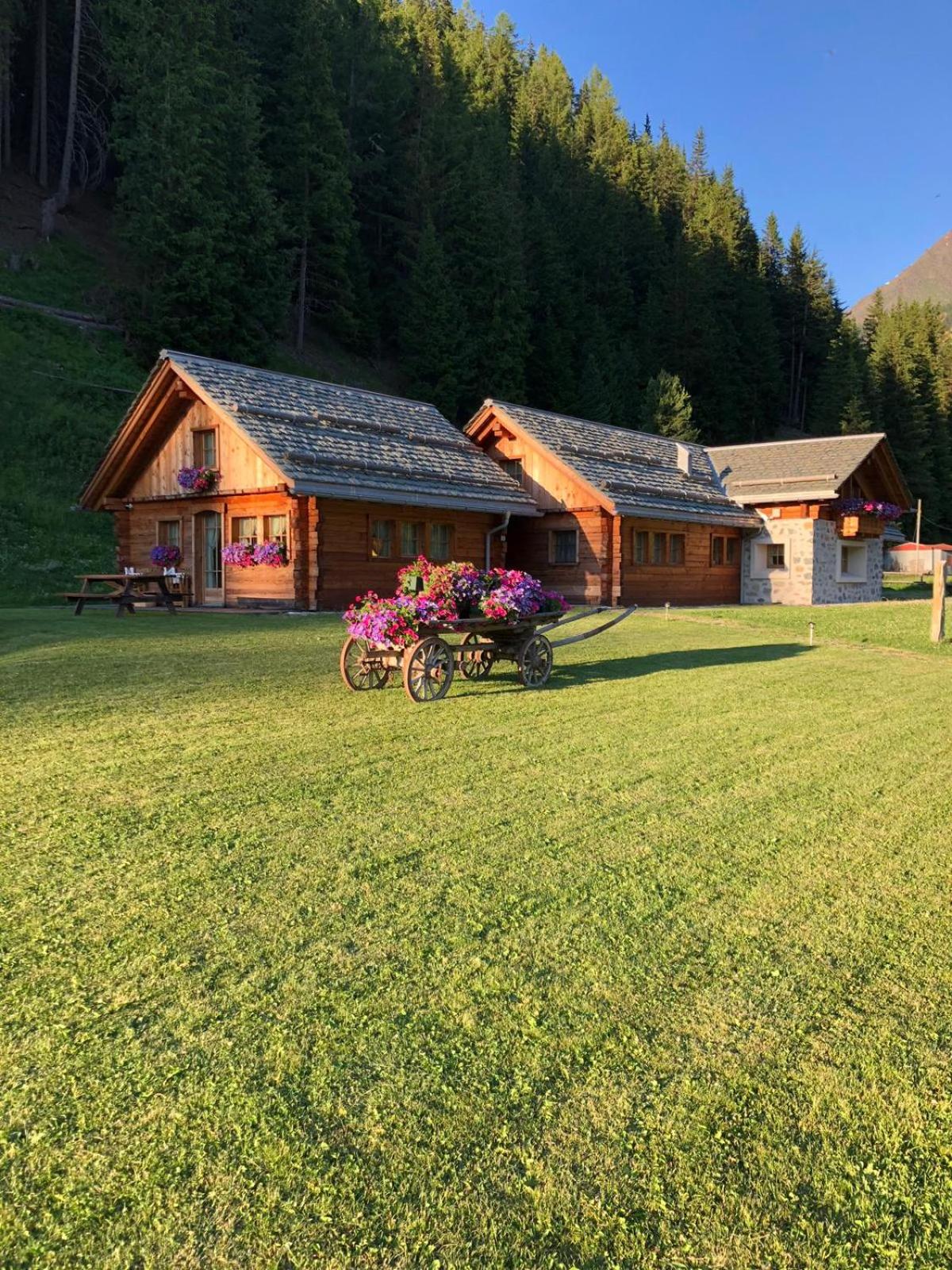 Alpine Chalet view 3