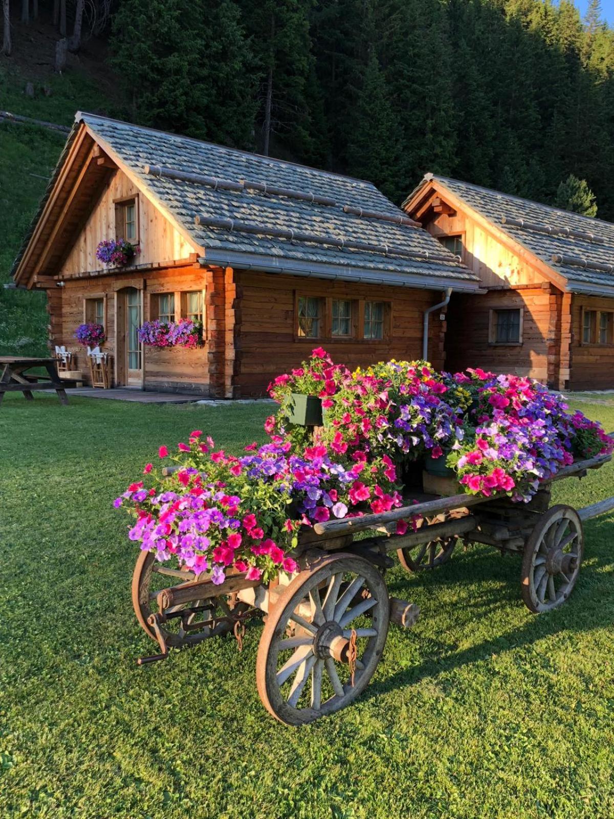 Alpine Chalet view 5