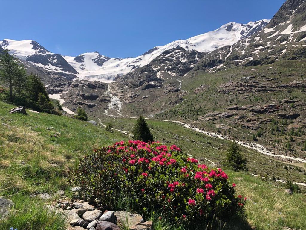 Alpine Chalet view 2