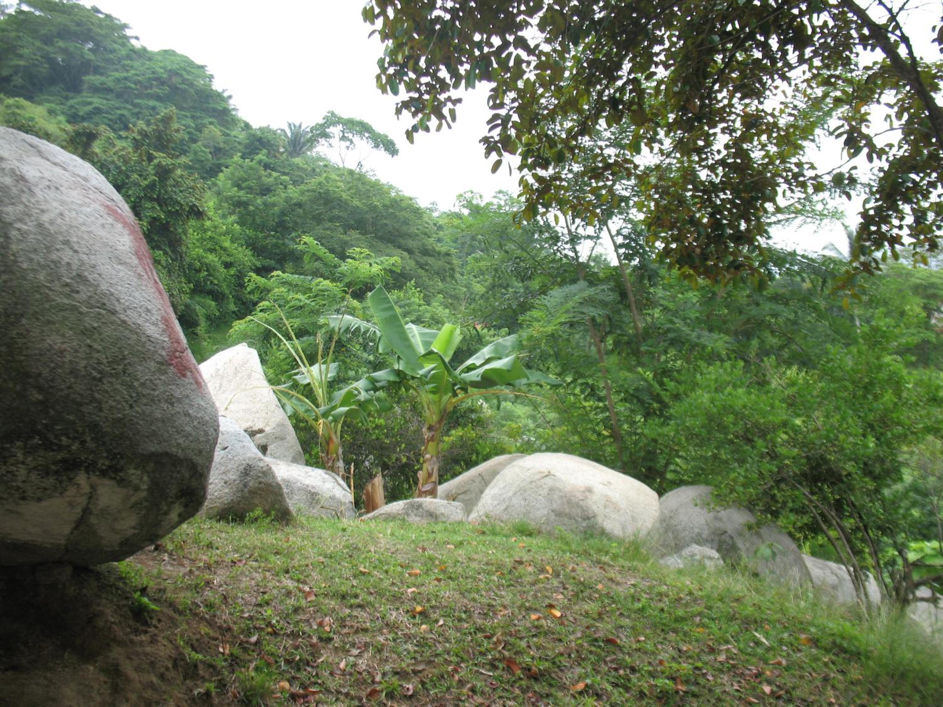 Photo 100
