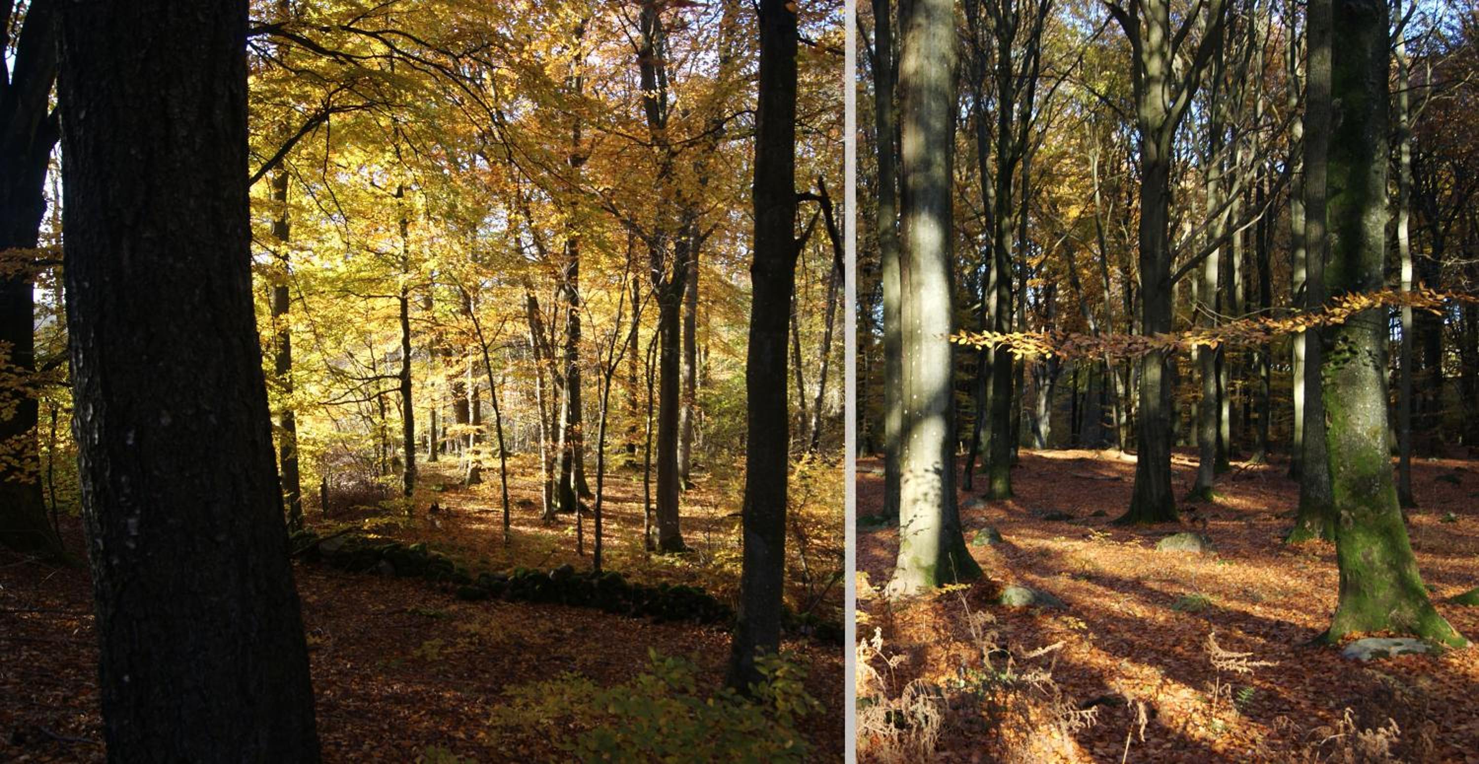 Sövröds Hage view 5