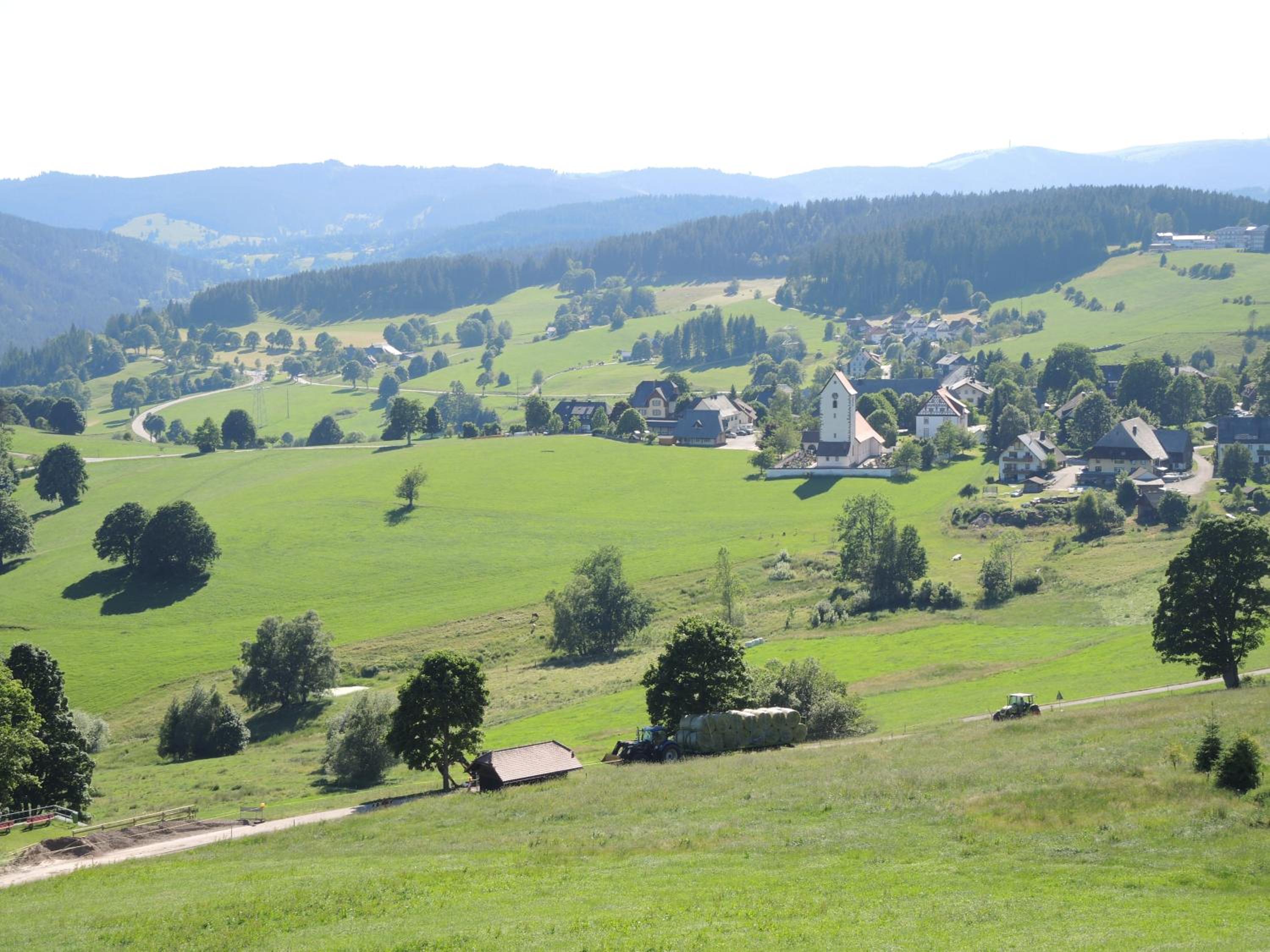 Ferienwohnung Saig view 4