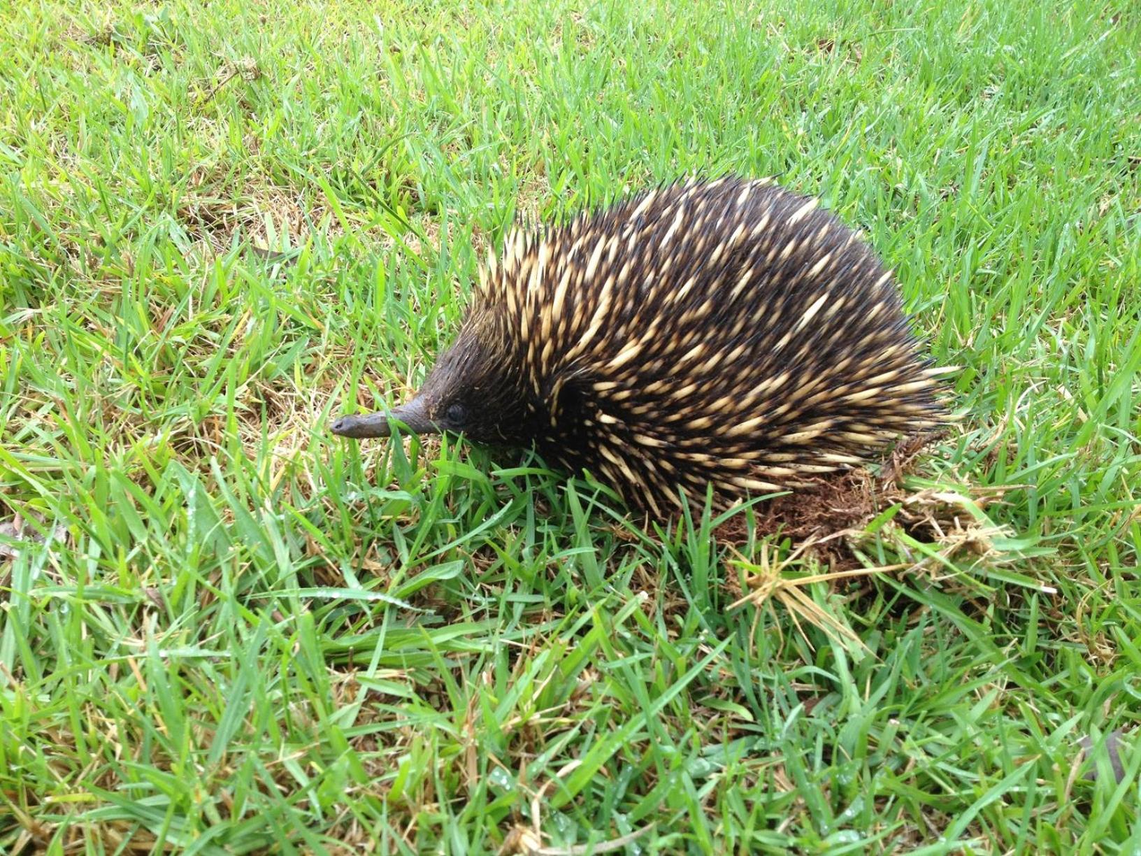 Tantallon - Property Image 14