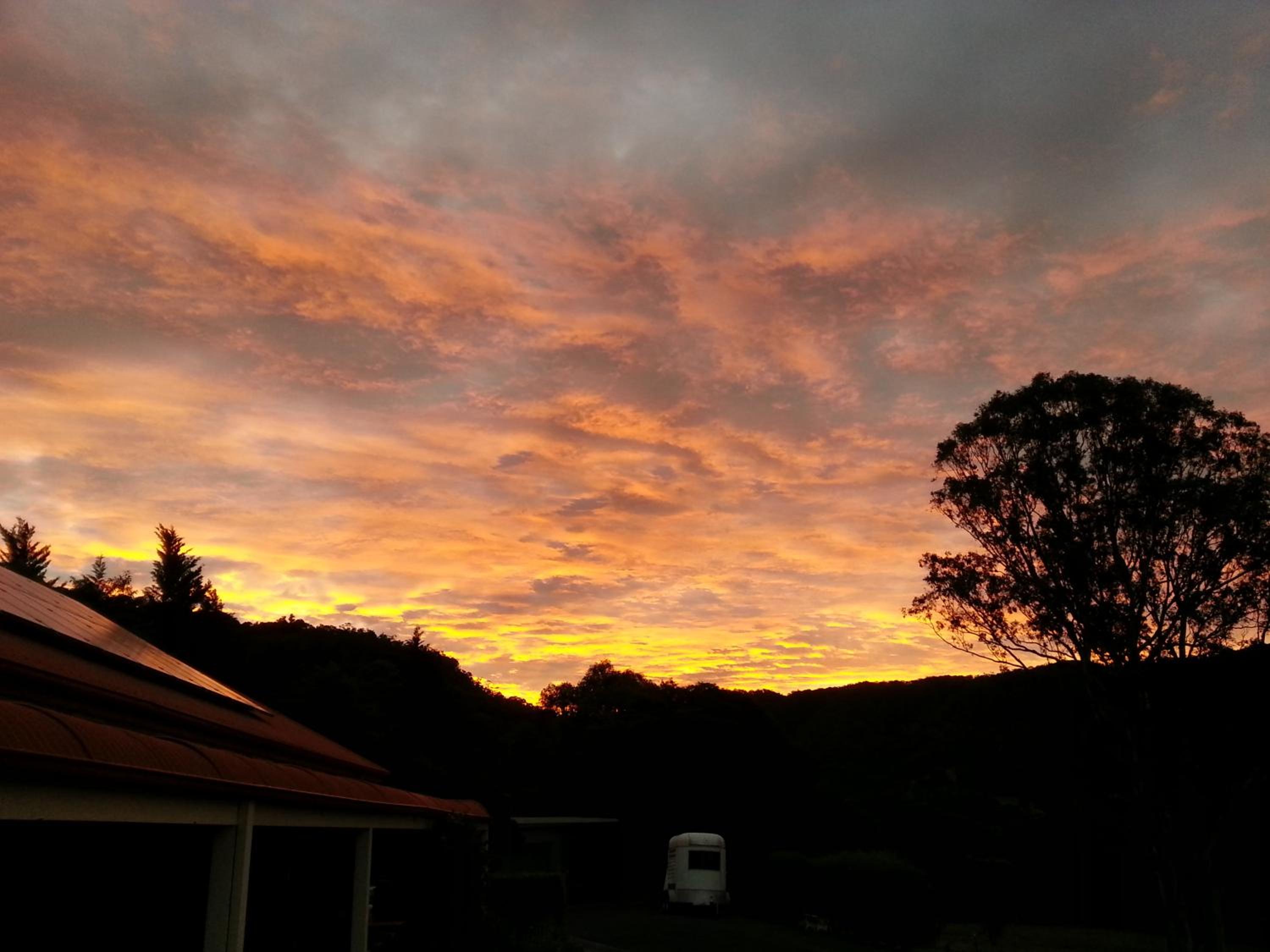 Tantallon - Property Image 13