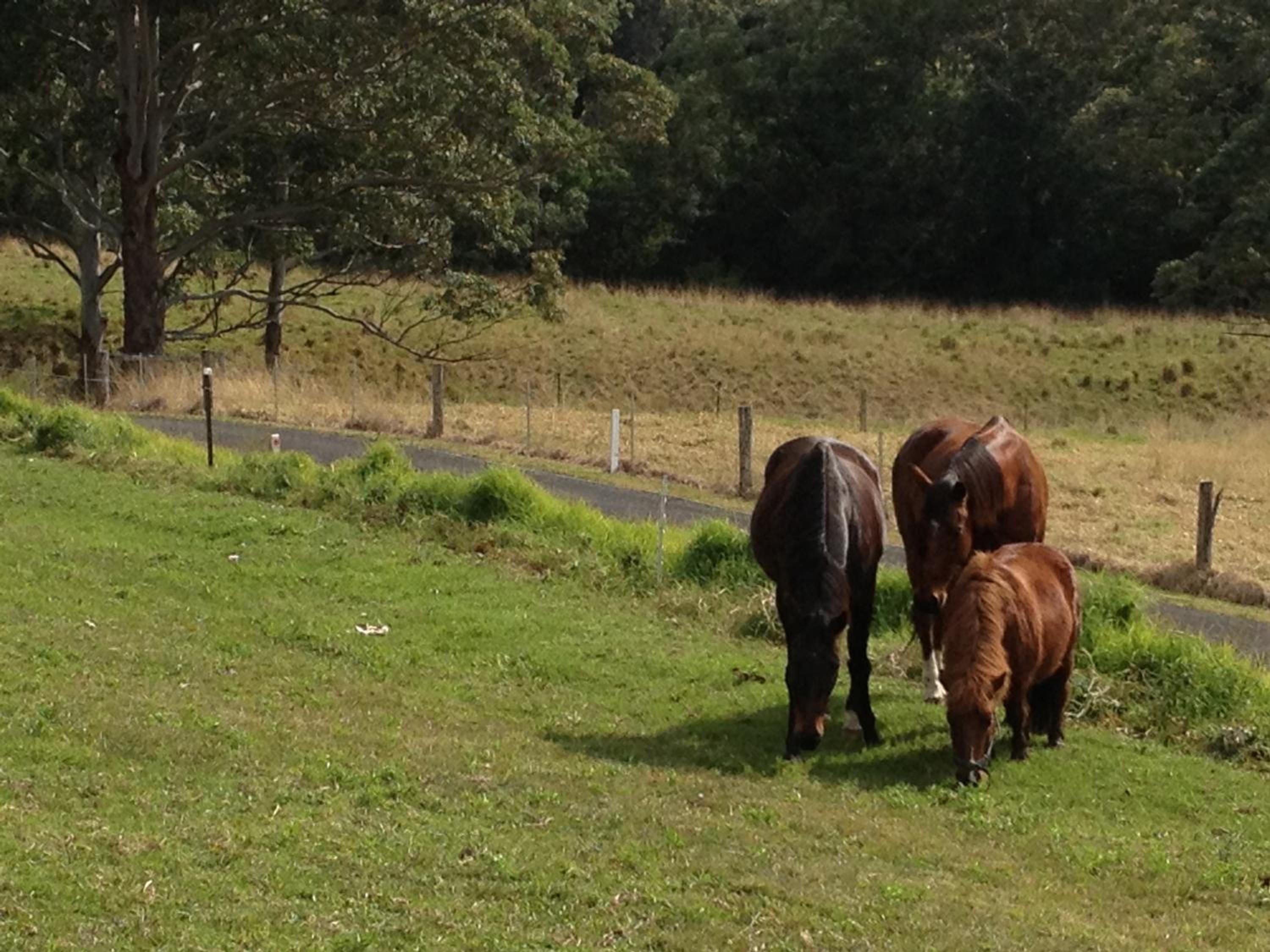 Tantallon - Property Image 2