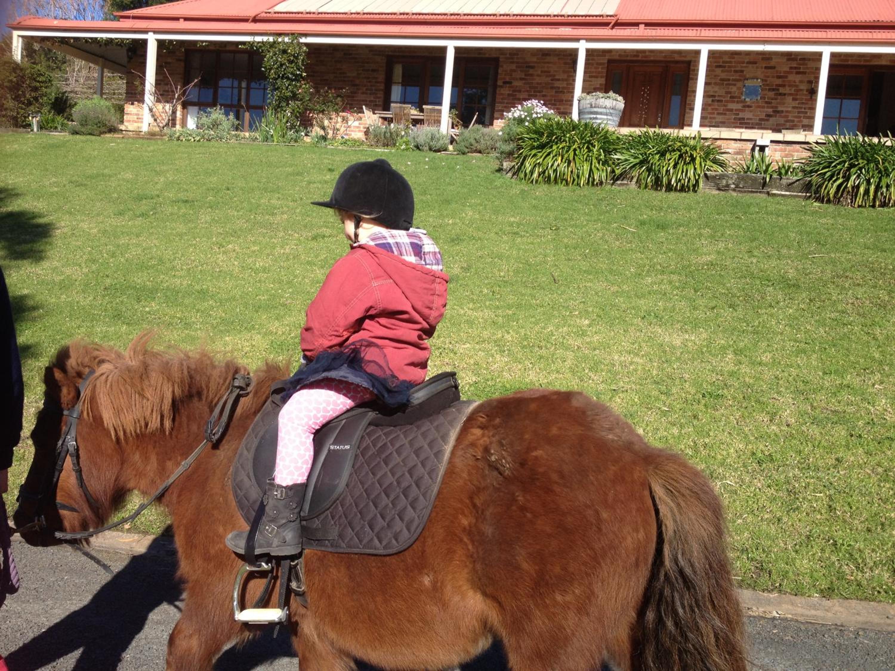 Tantallon - Property Image 12