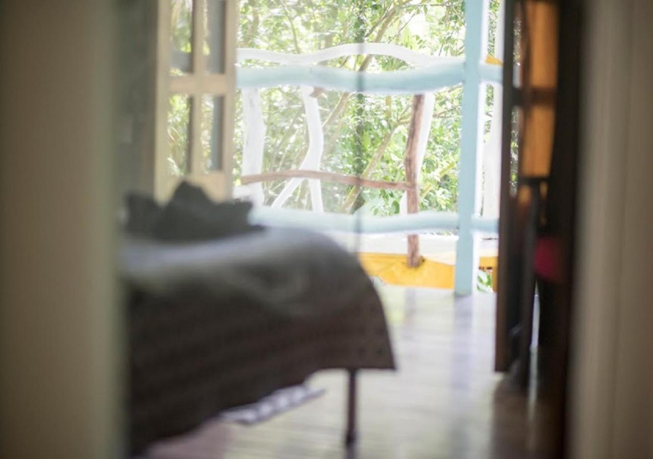Madre Selva Hostel
