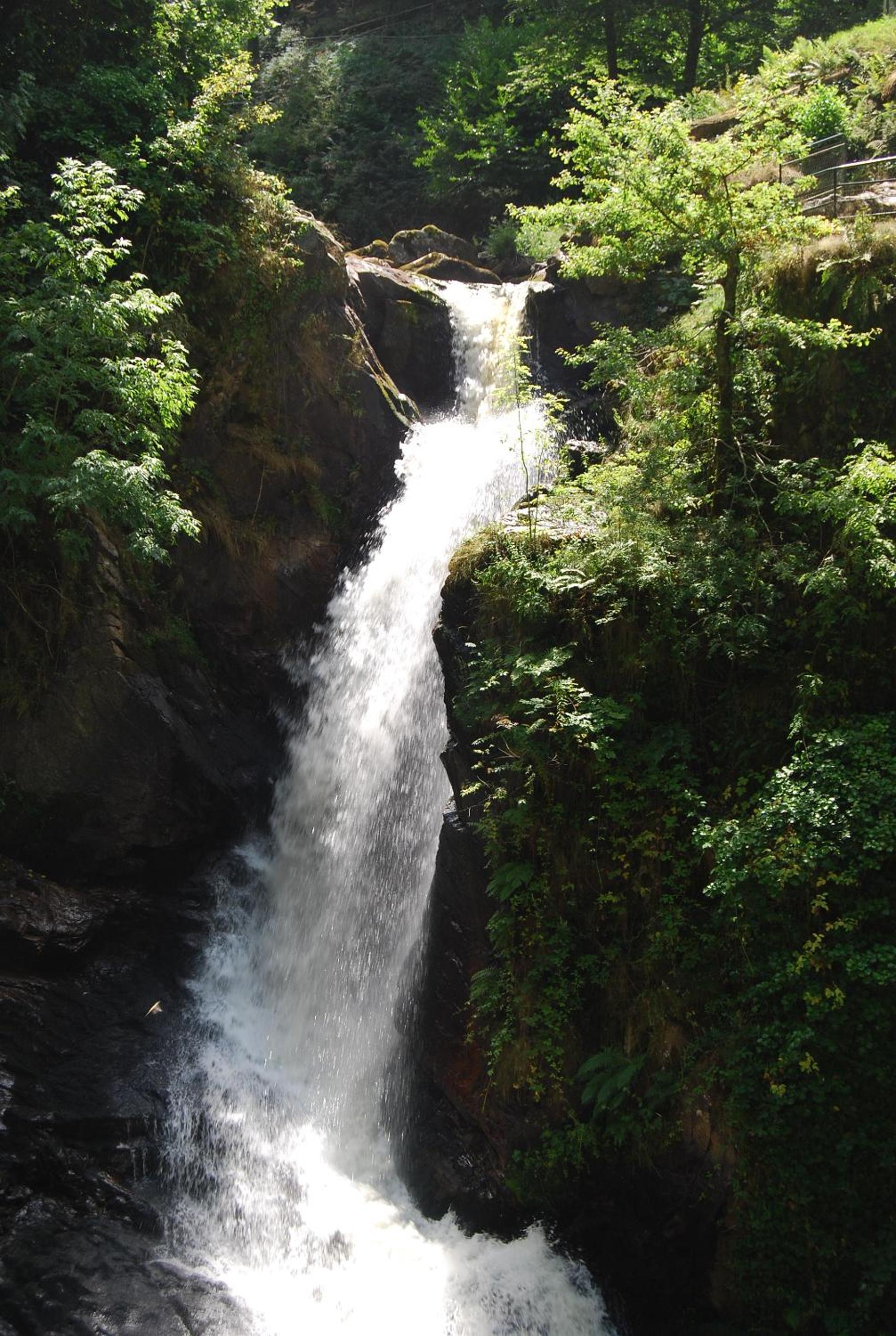 Photo 43