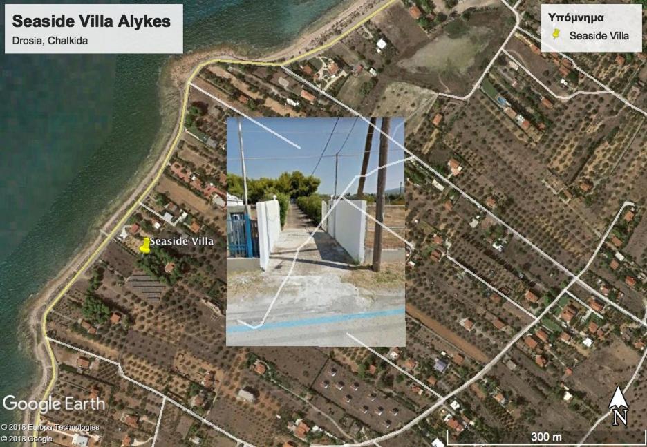 Seaside Villa in Alikes, Chalkida view 3