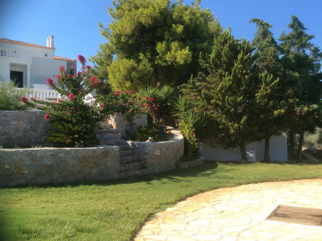 Photo 21