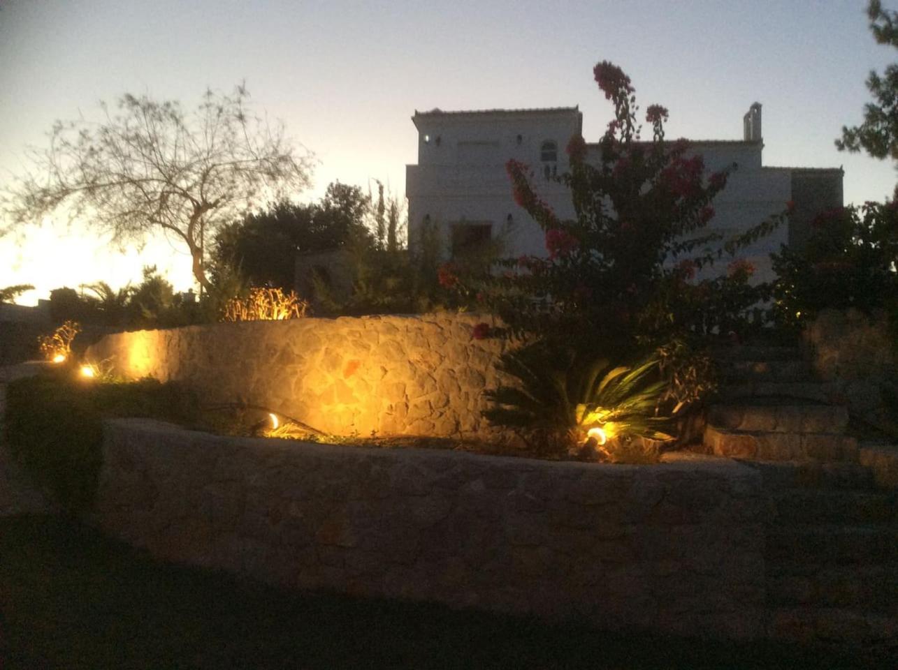 Photo 35