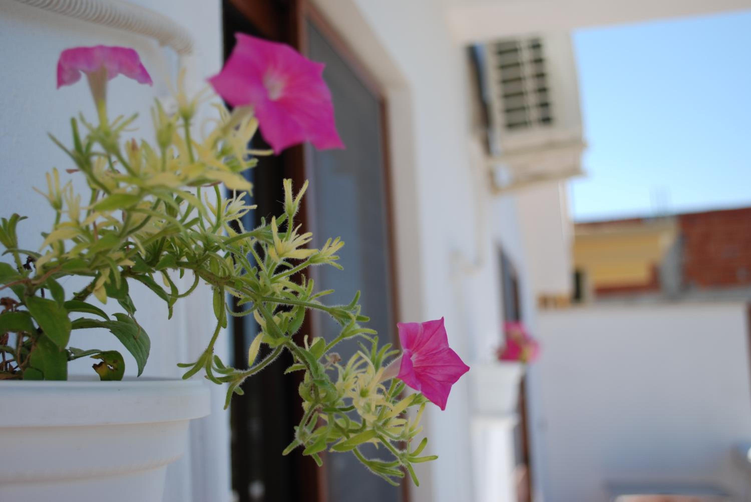 Apartments Hotel AL&DE
