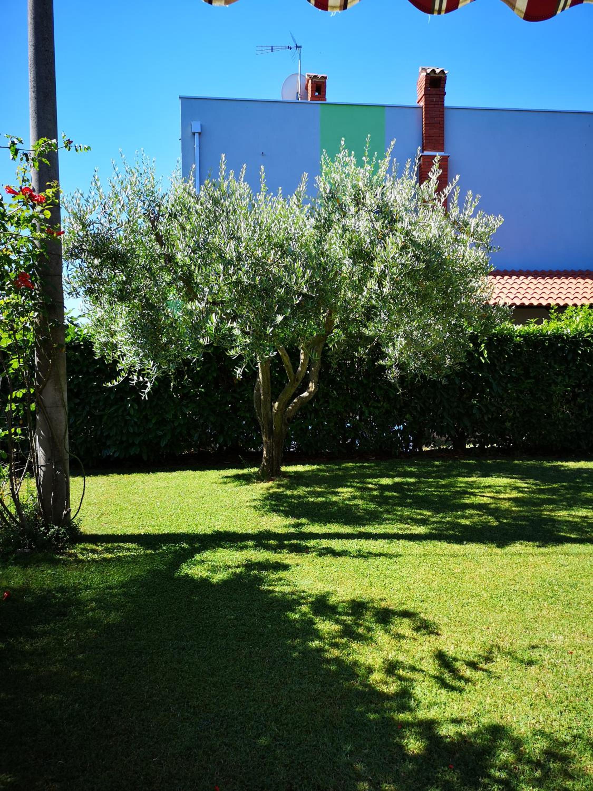 Photo 36
