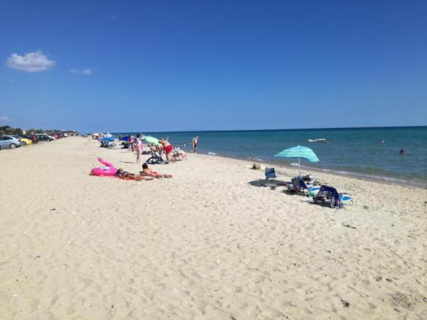Photo 43