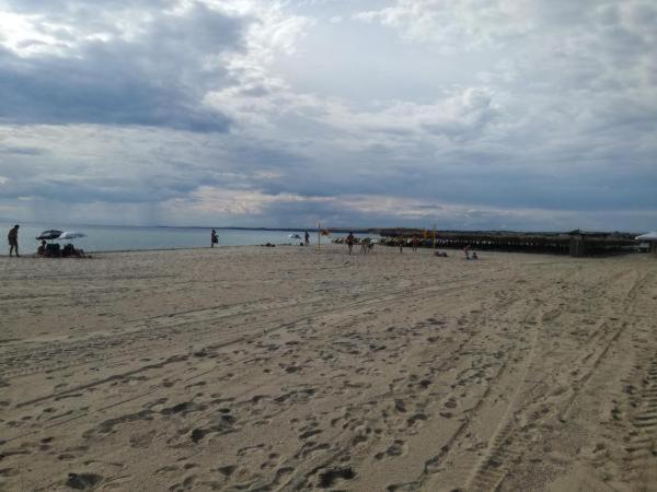Photo 39