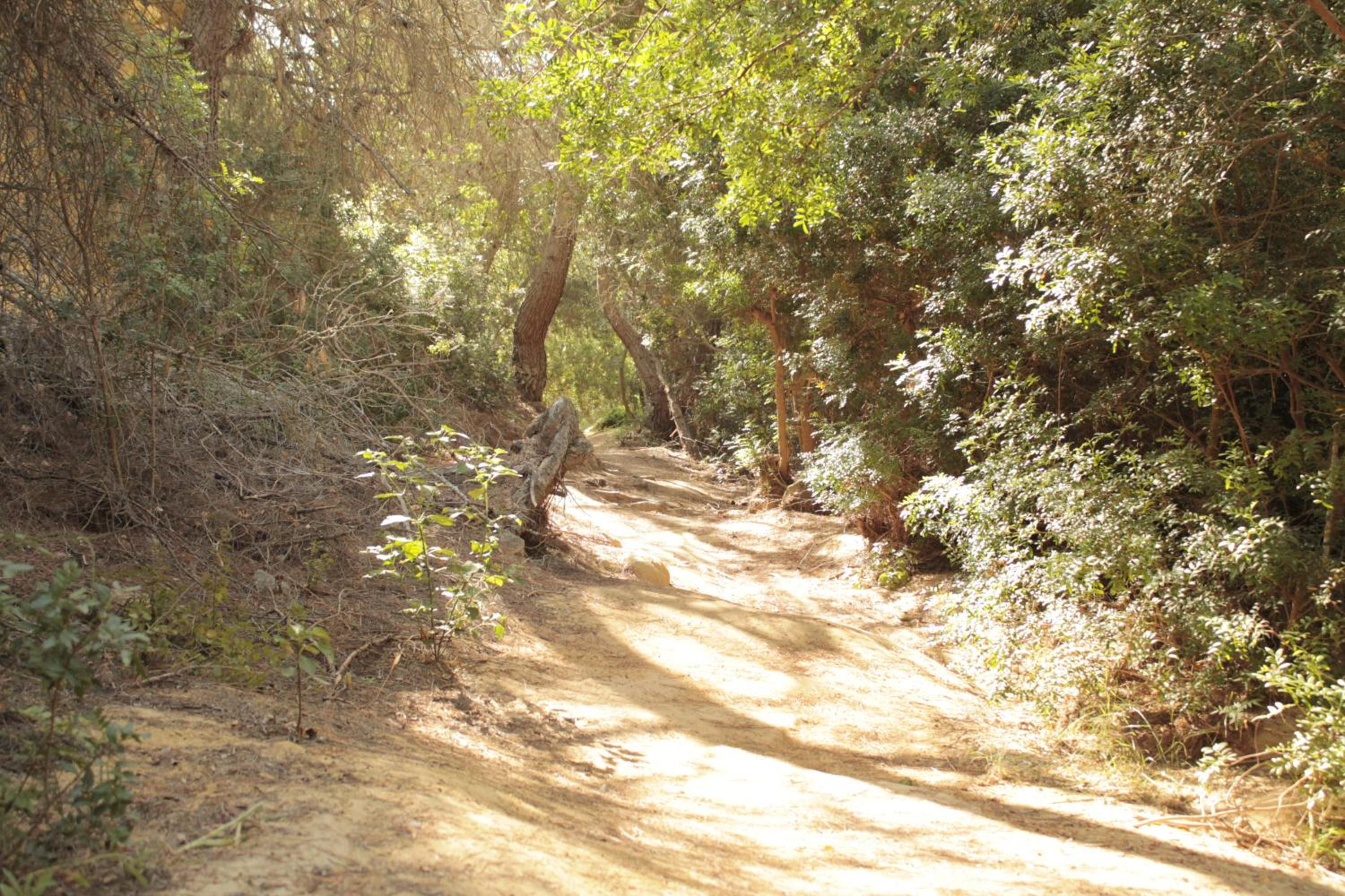 Photo 30
