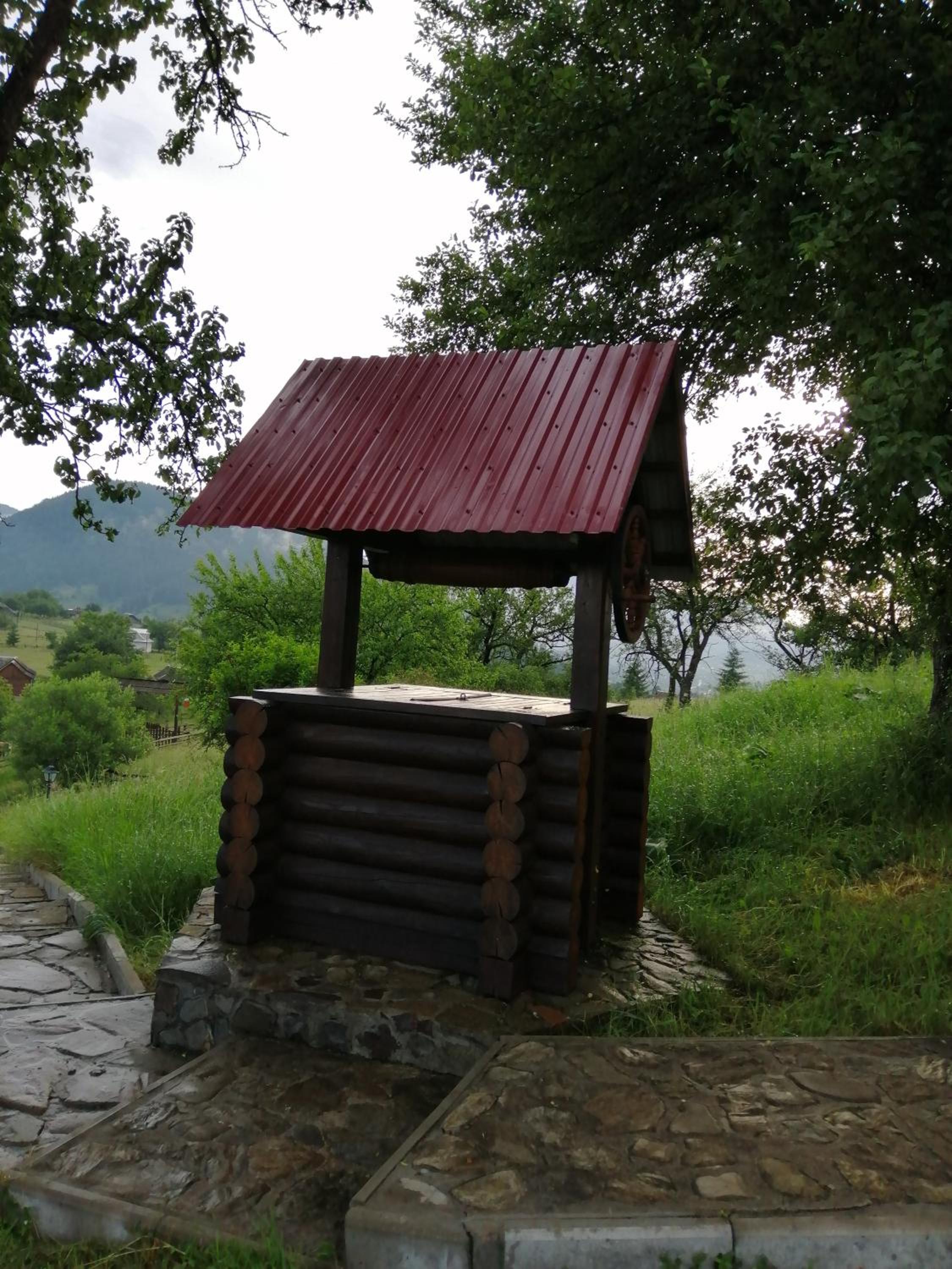 Photo 45