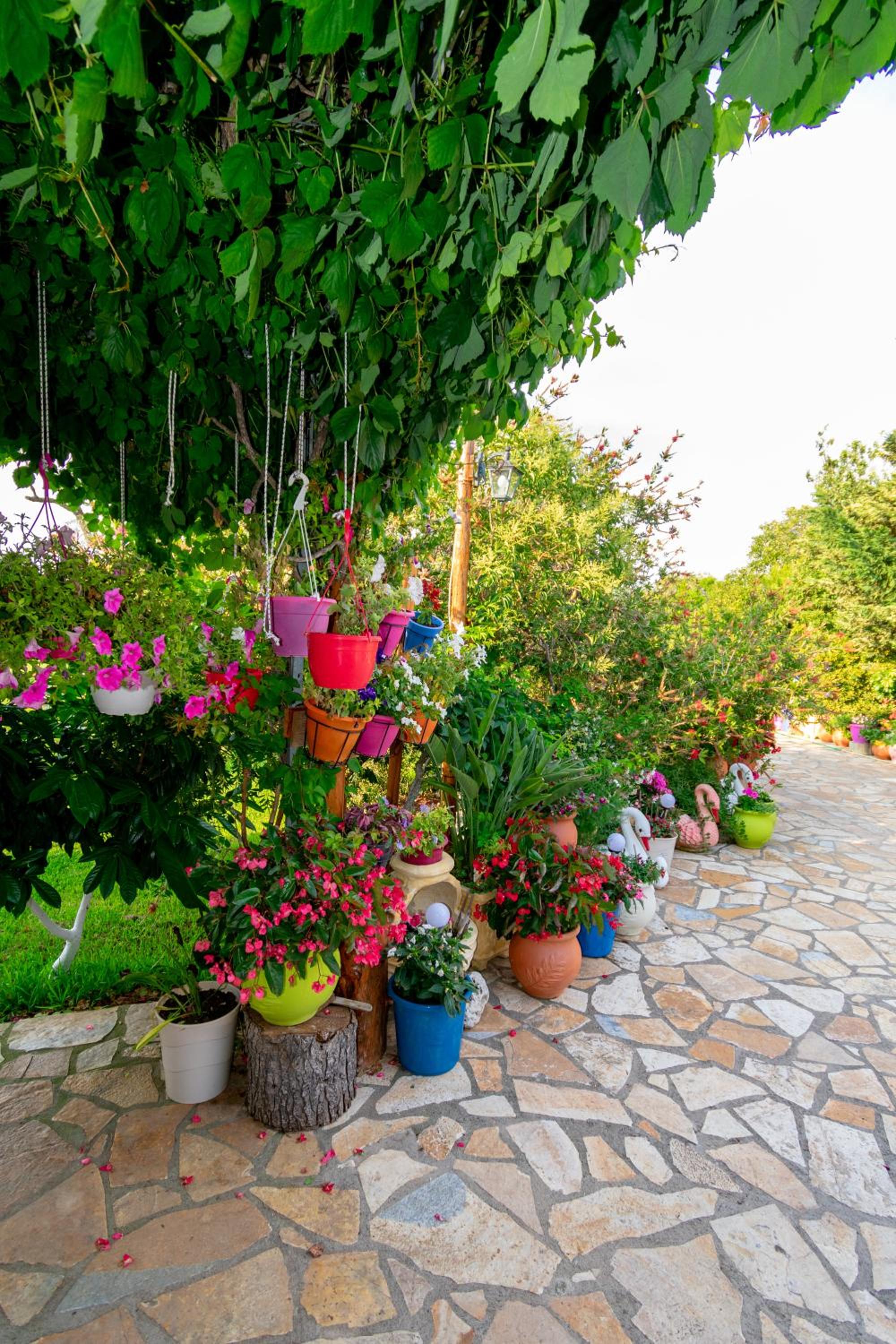 Evaggelia Studios