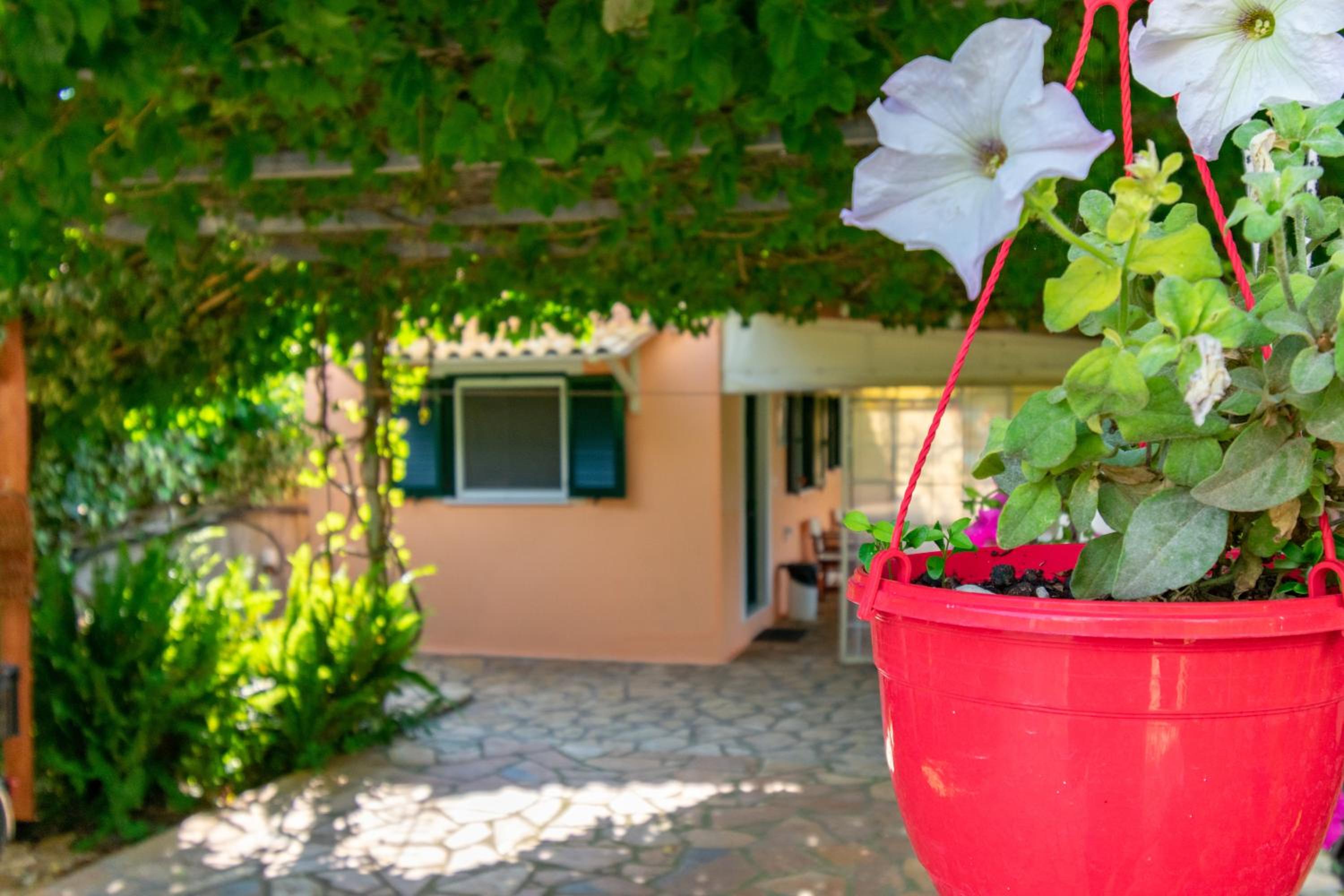 Evaggelia Studios