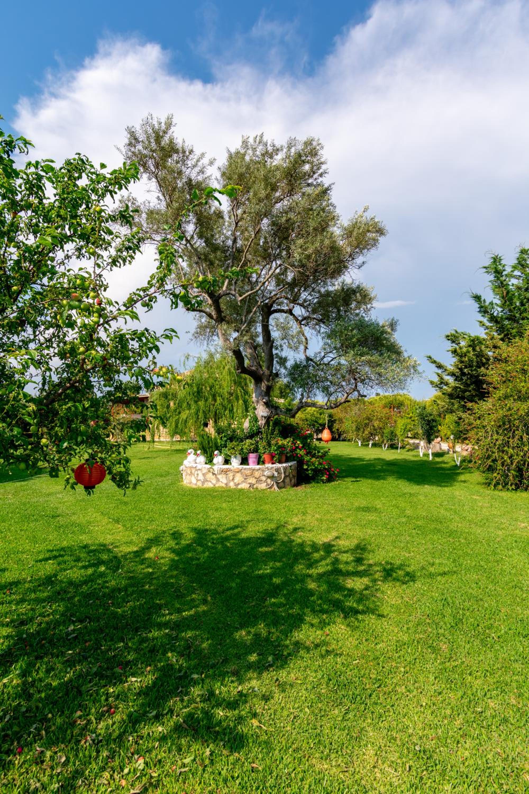 Evaggelia Studios