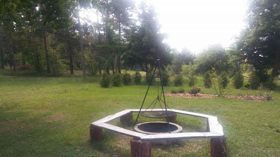 Photo 42
