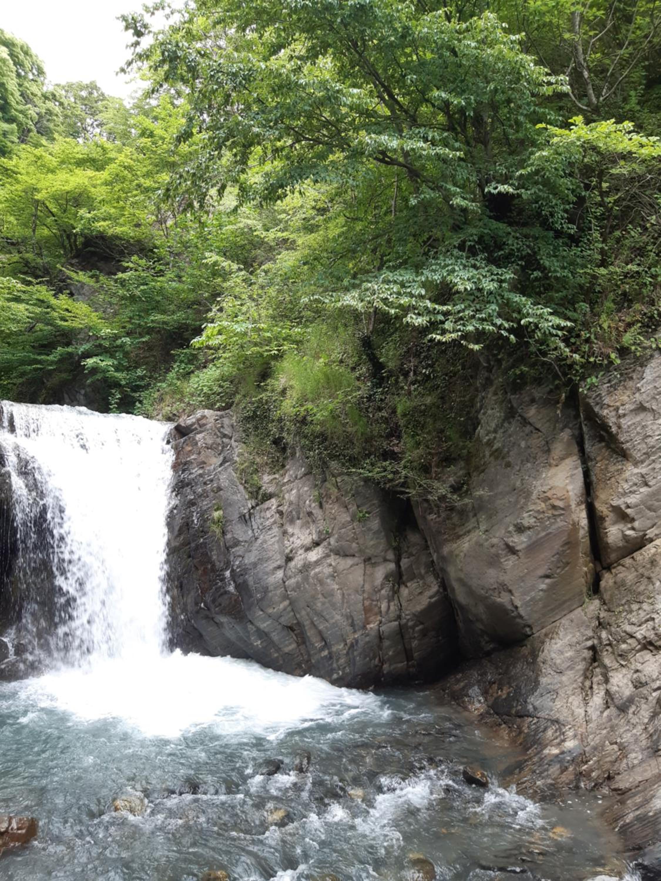 Guest House Gzirishvili view 4