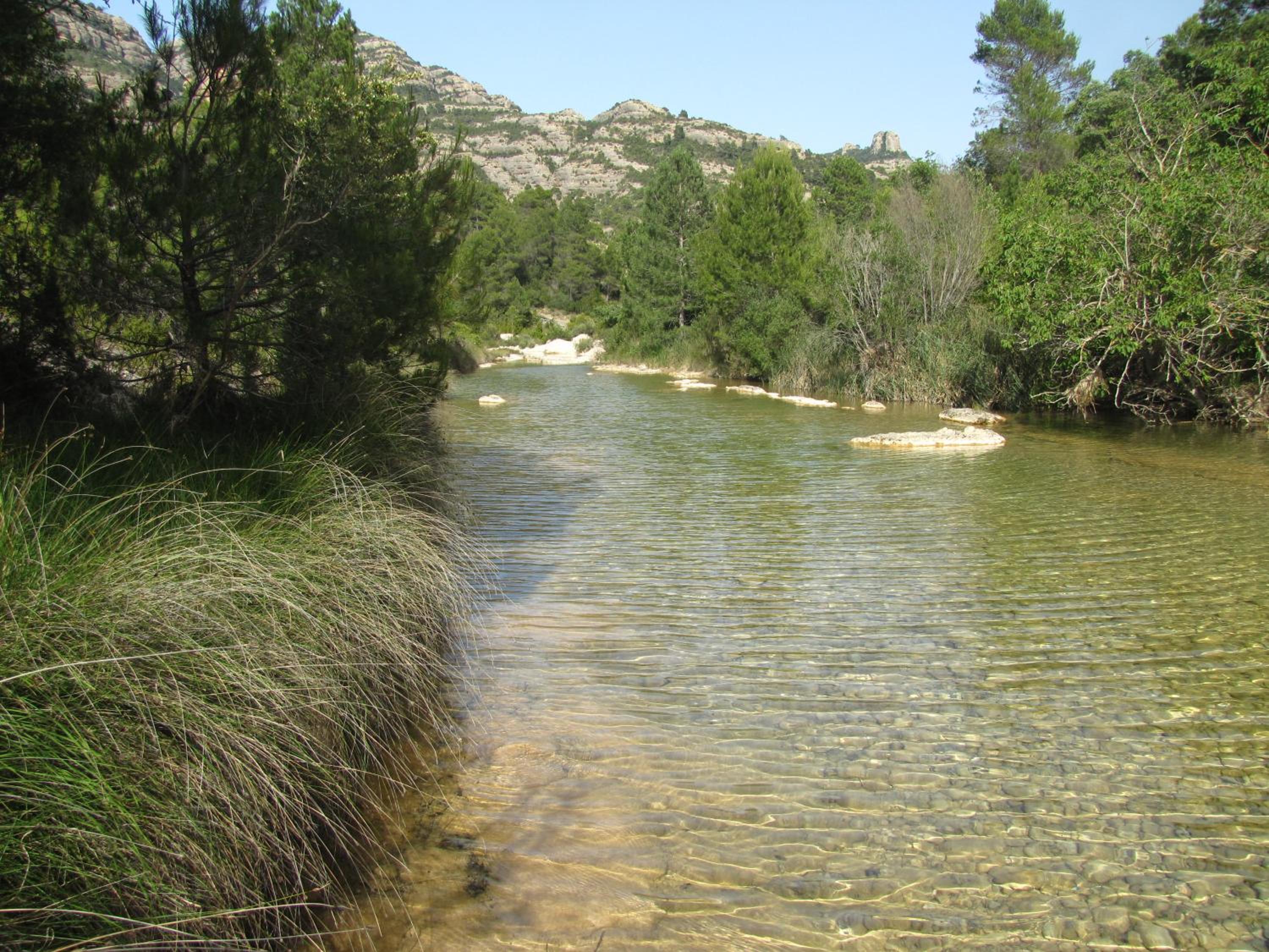 Photo 31