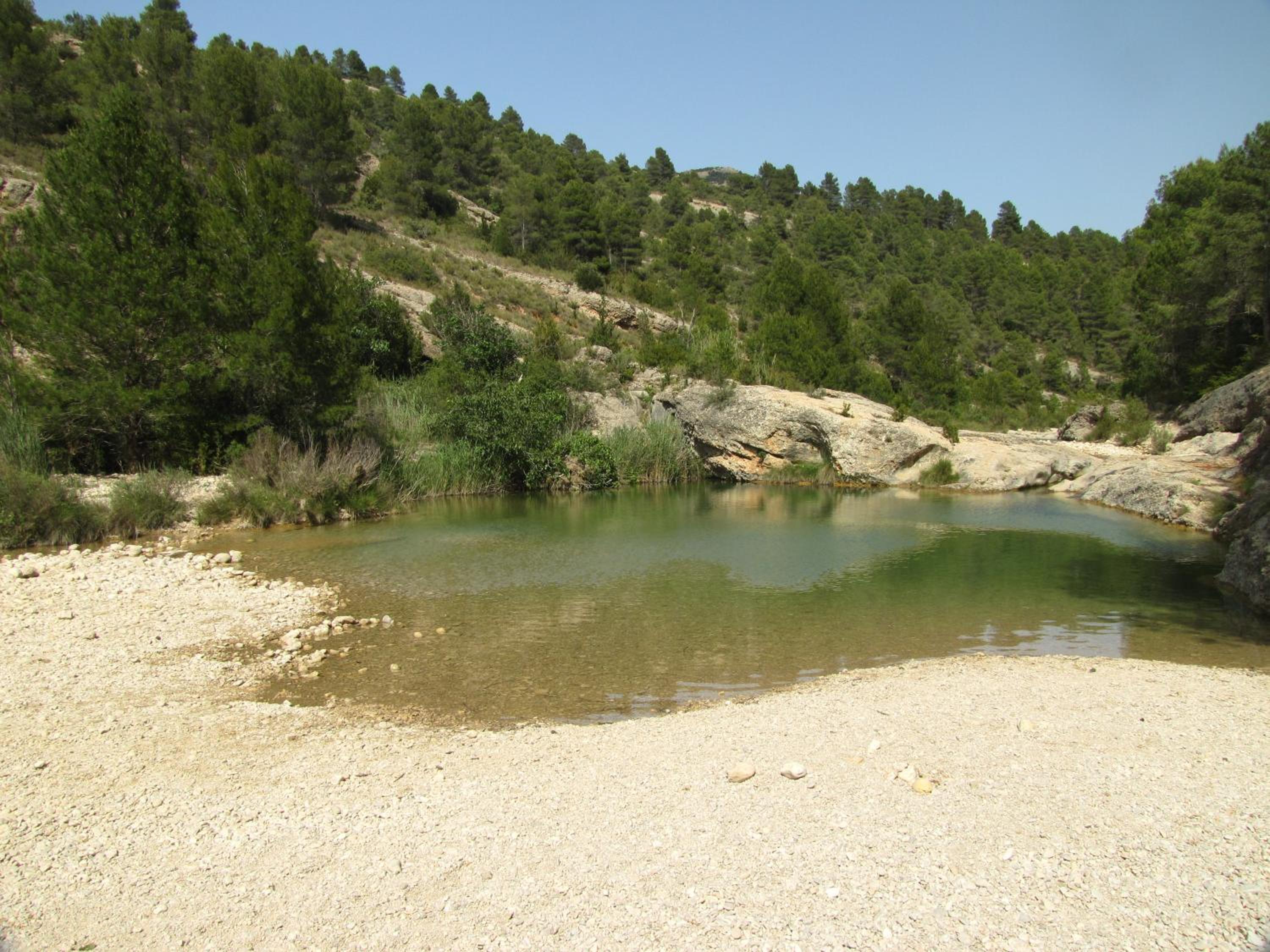 Photo 23