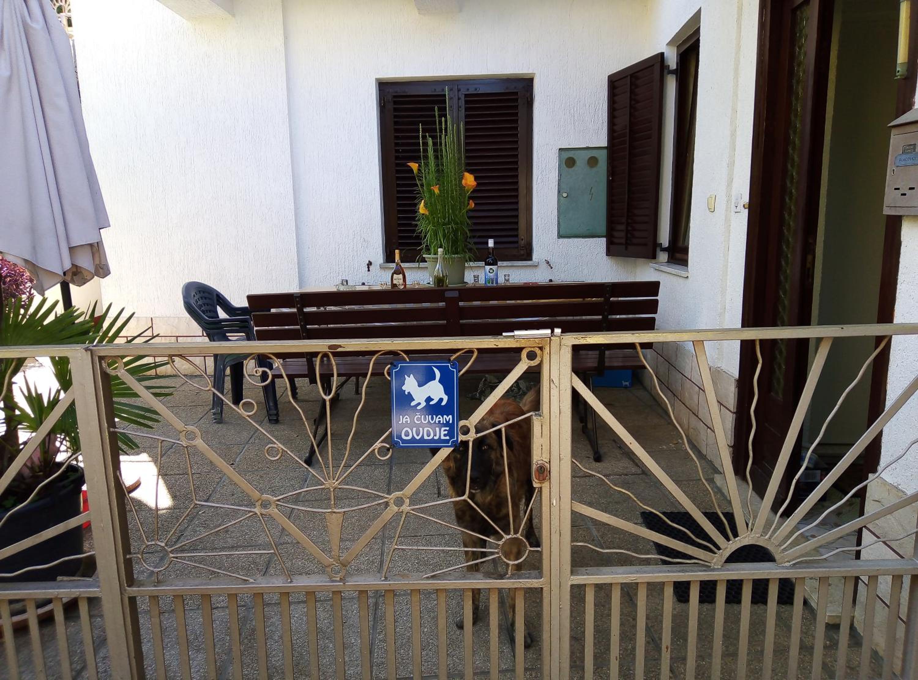 Photo 21